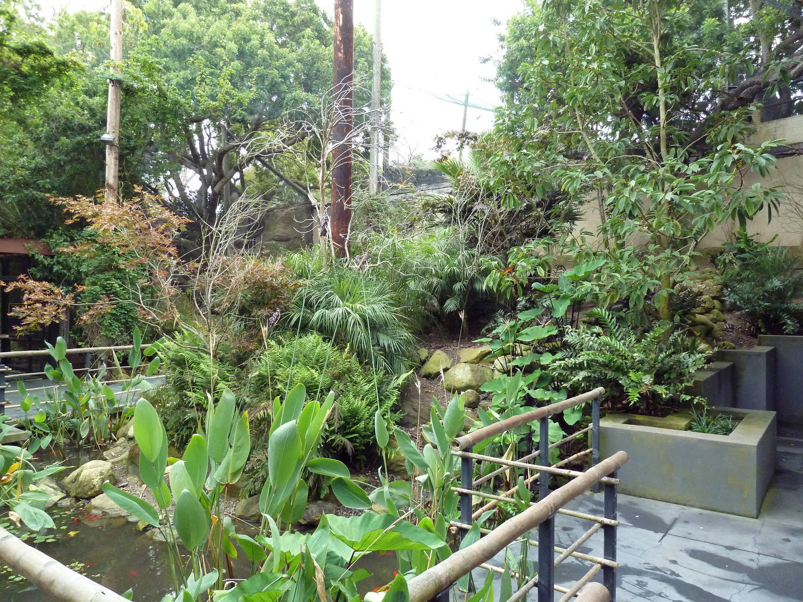 Wings Of Asia - Walk-Through Aviary