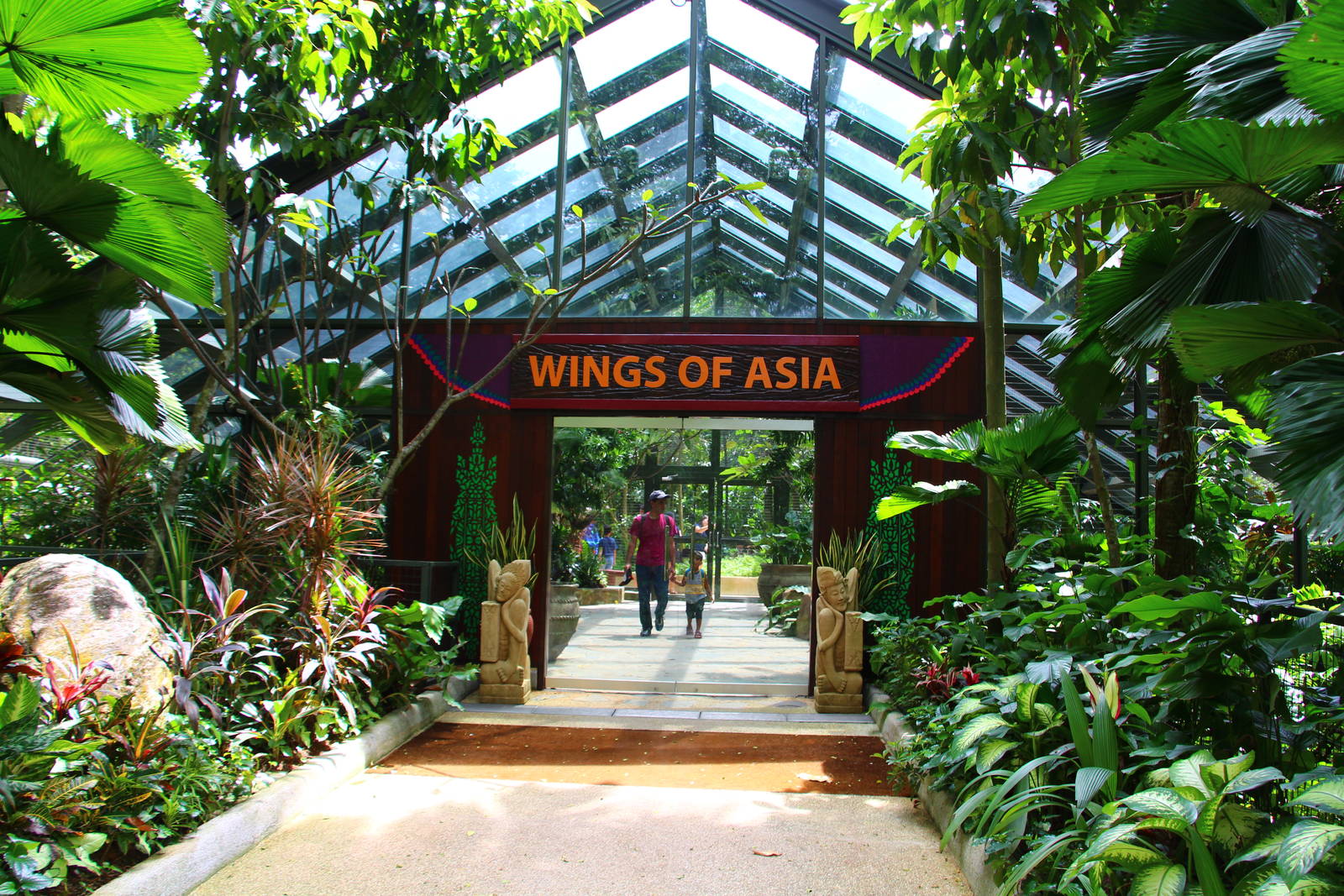 Wings of Asia