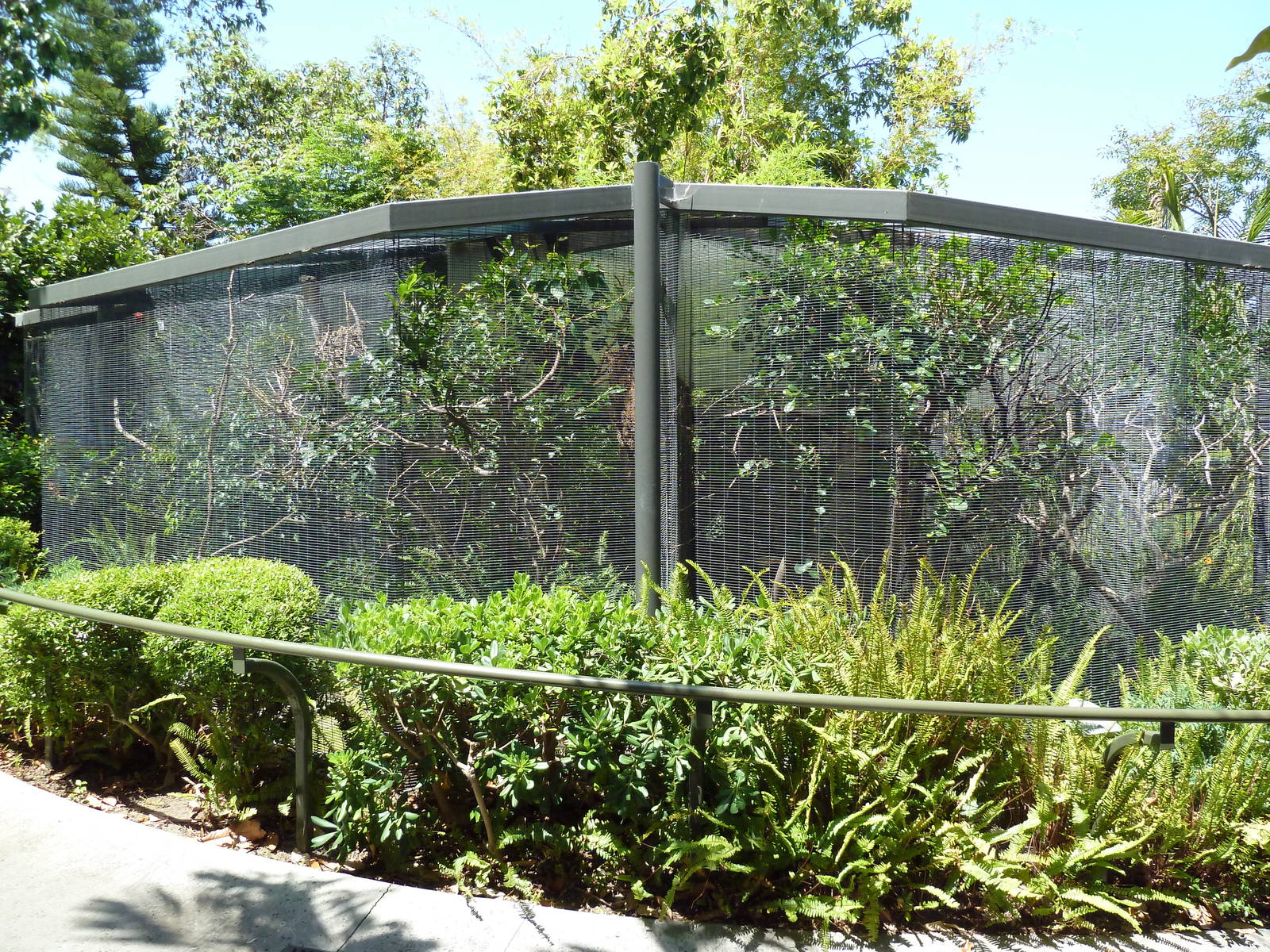 Wings Of Australasia Aviaries