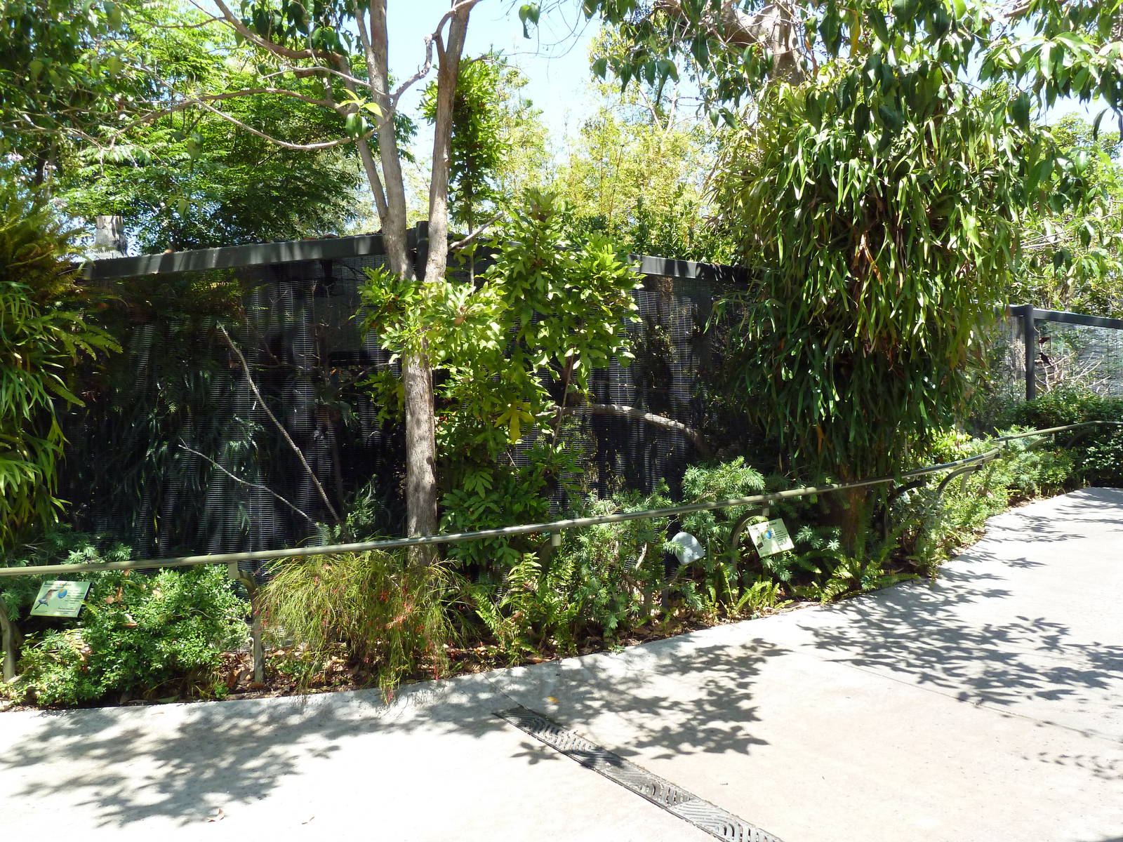 Wings Of Australasia Aviaries