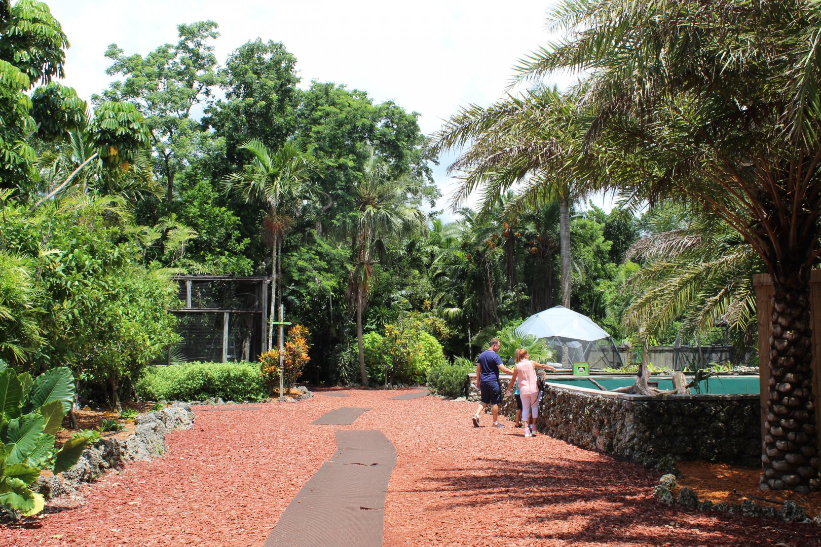 Wings of Love Overview