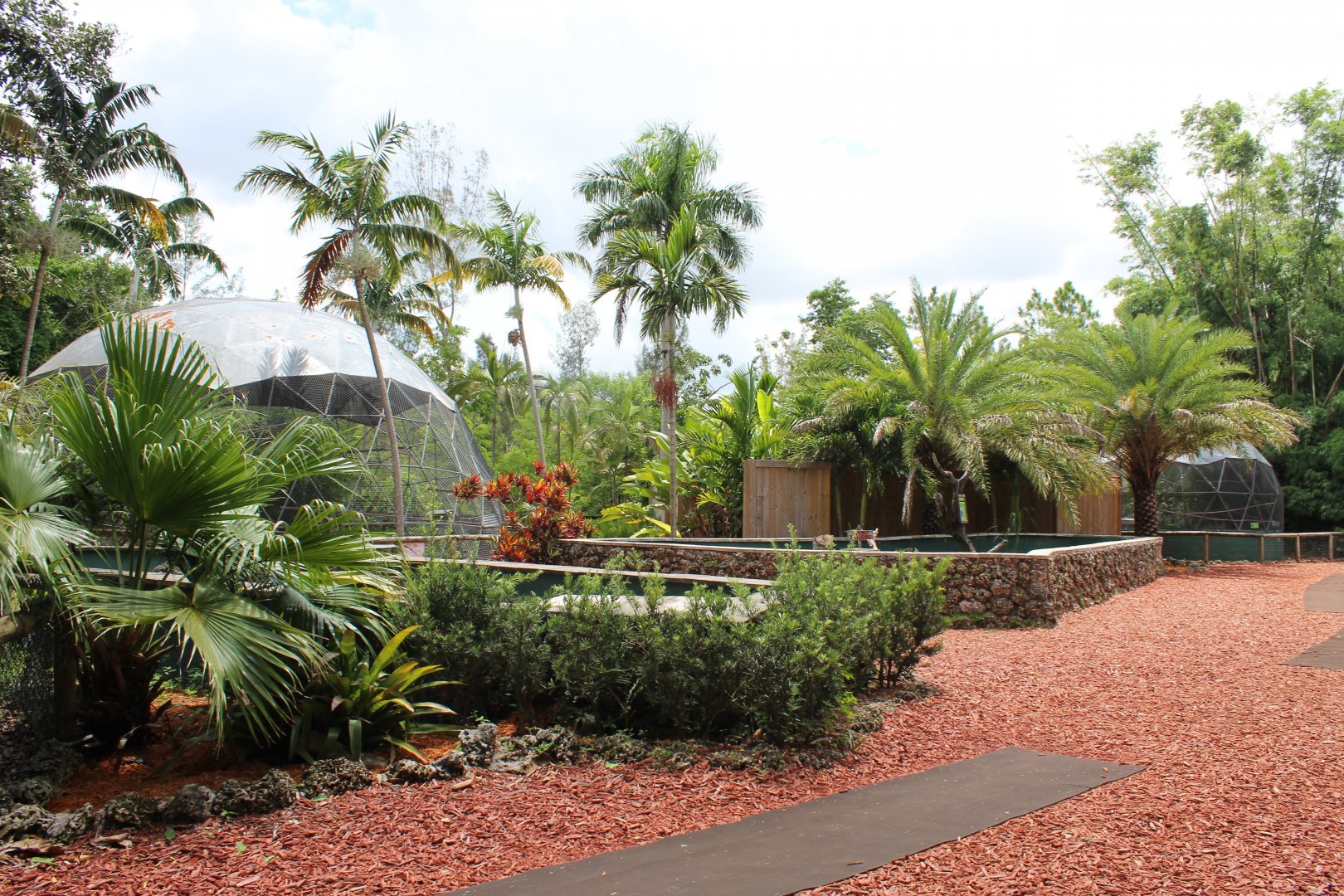 Wings of Love Overview