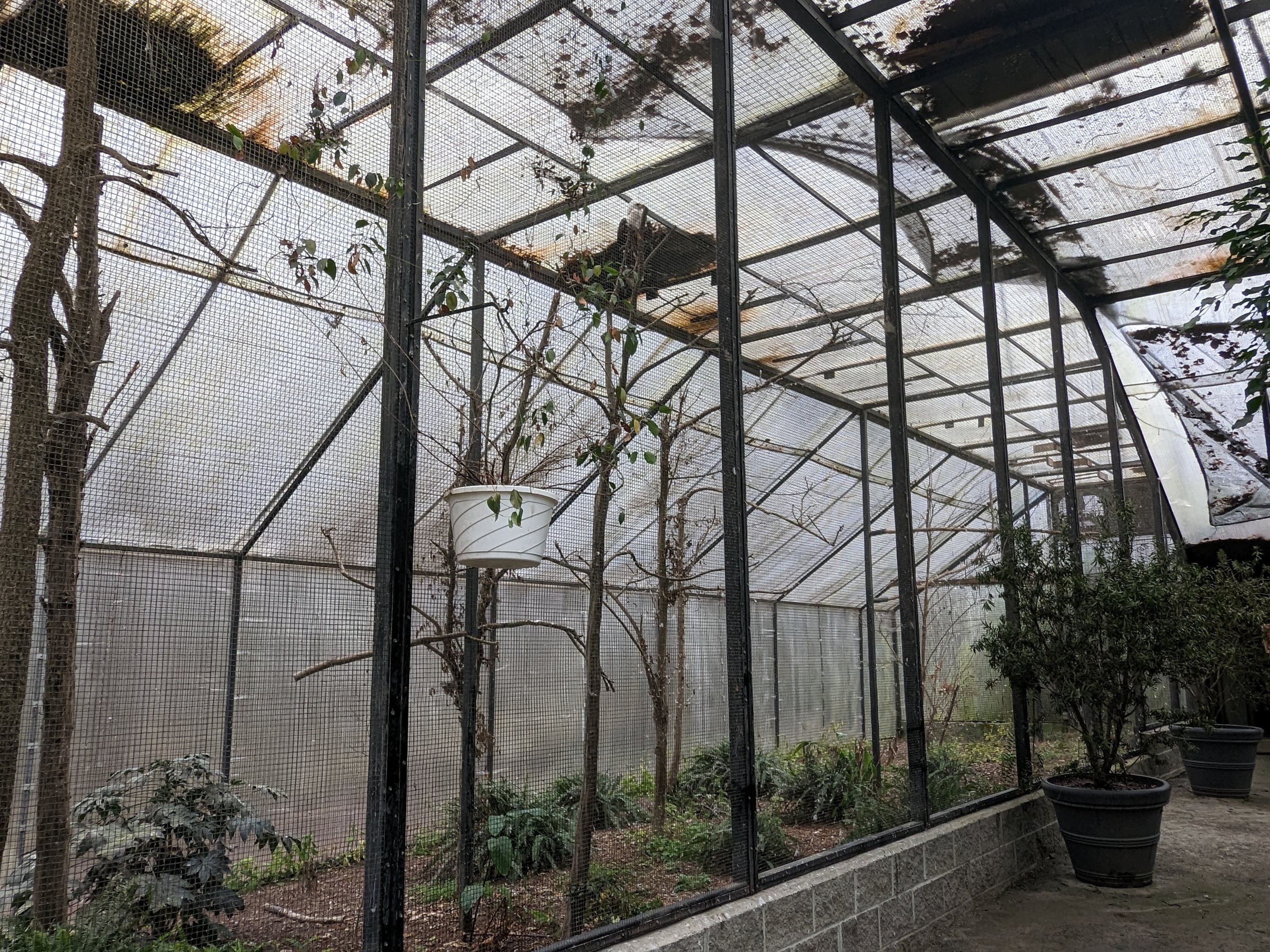 Wings of the Tropics - African fish eagle aviary