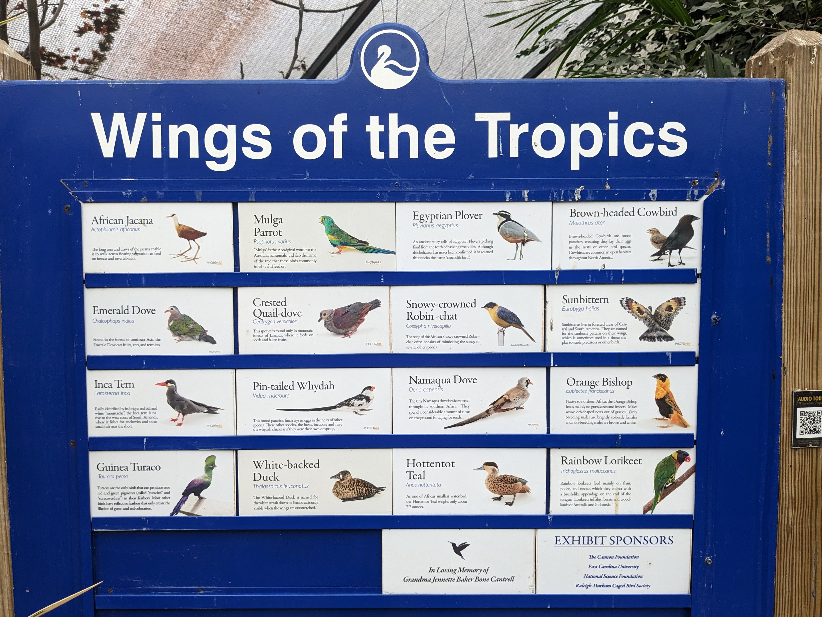 Wings of the Tropics aviary sign