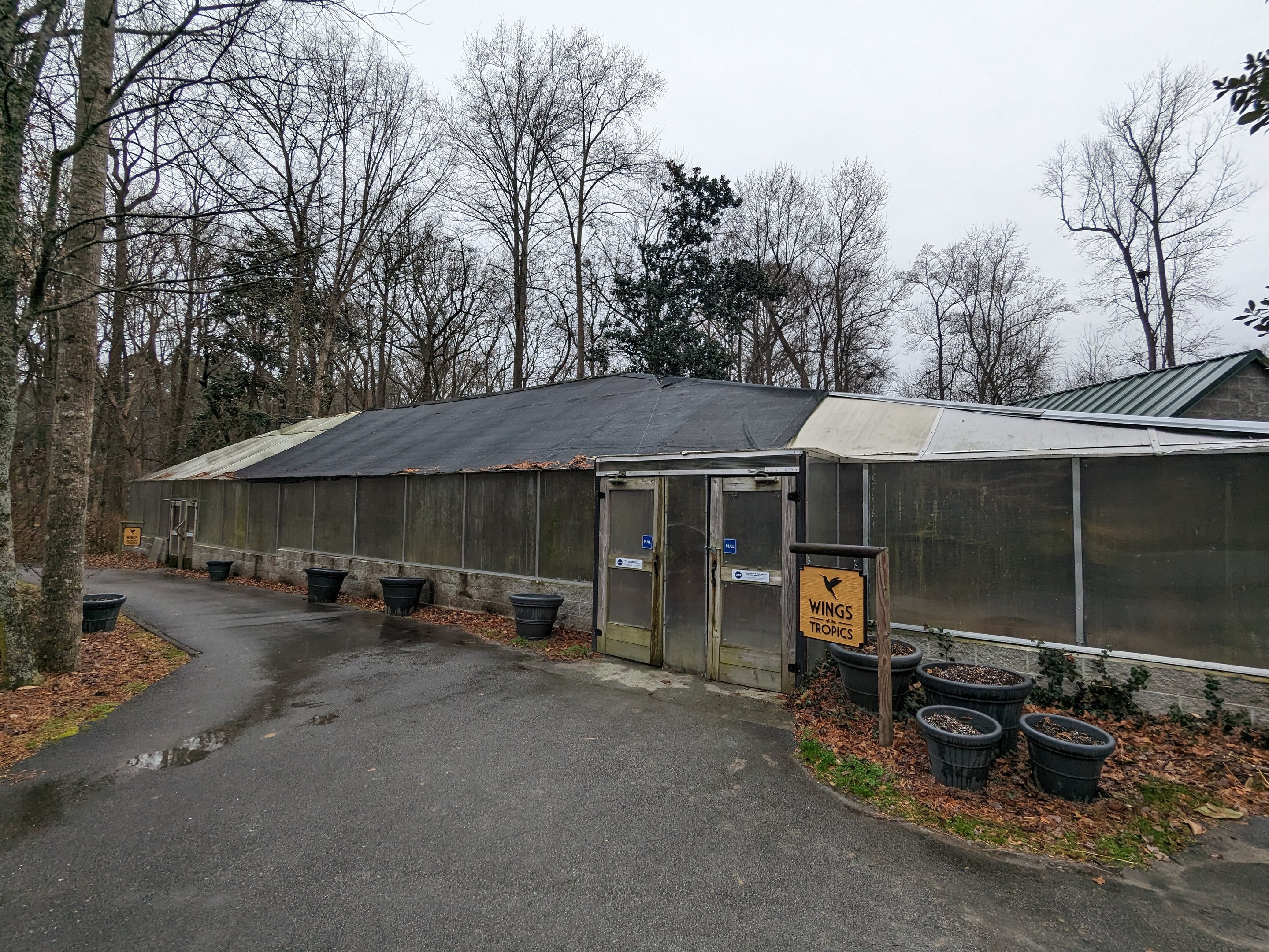 Wings of the Tropics aviary