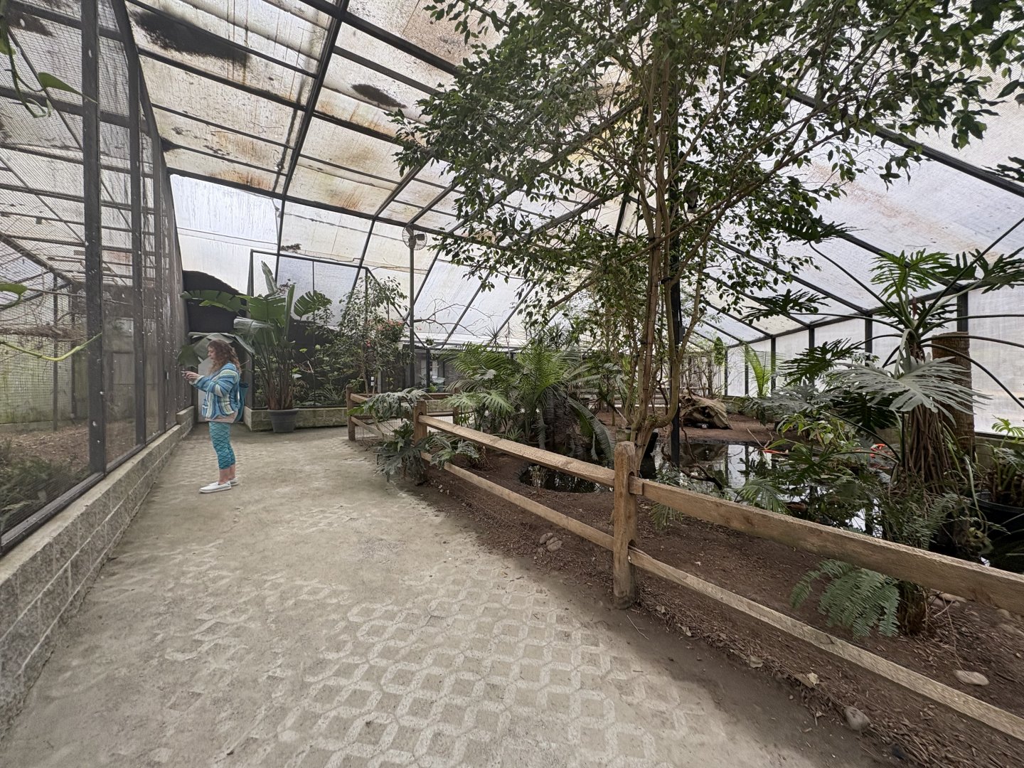 Wings of the Tropics aviary