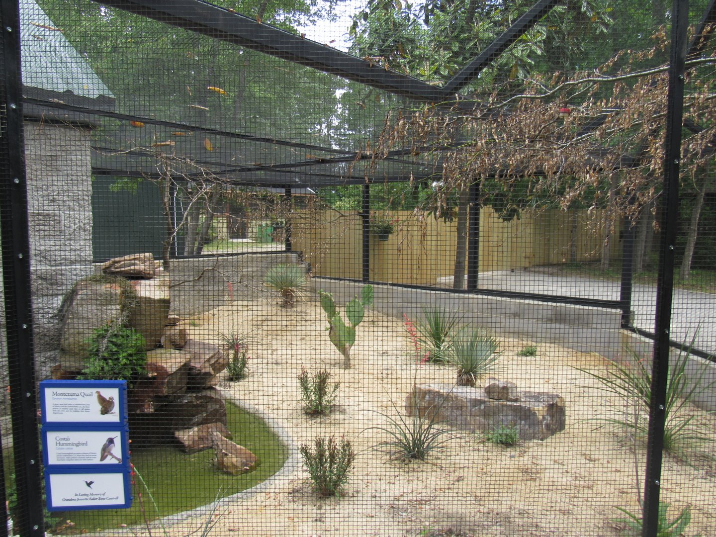 Wings of the Tropics- Desert Aviary