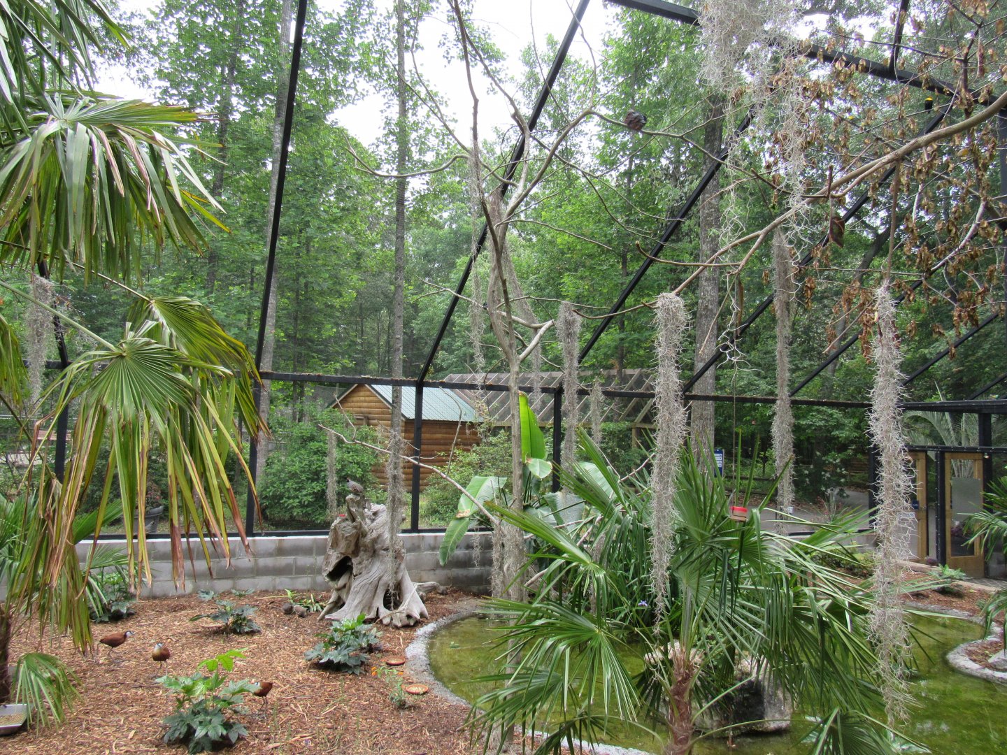 Wings of the Tropics- Free Flight Aviary