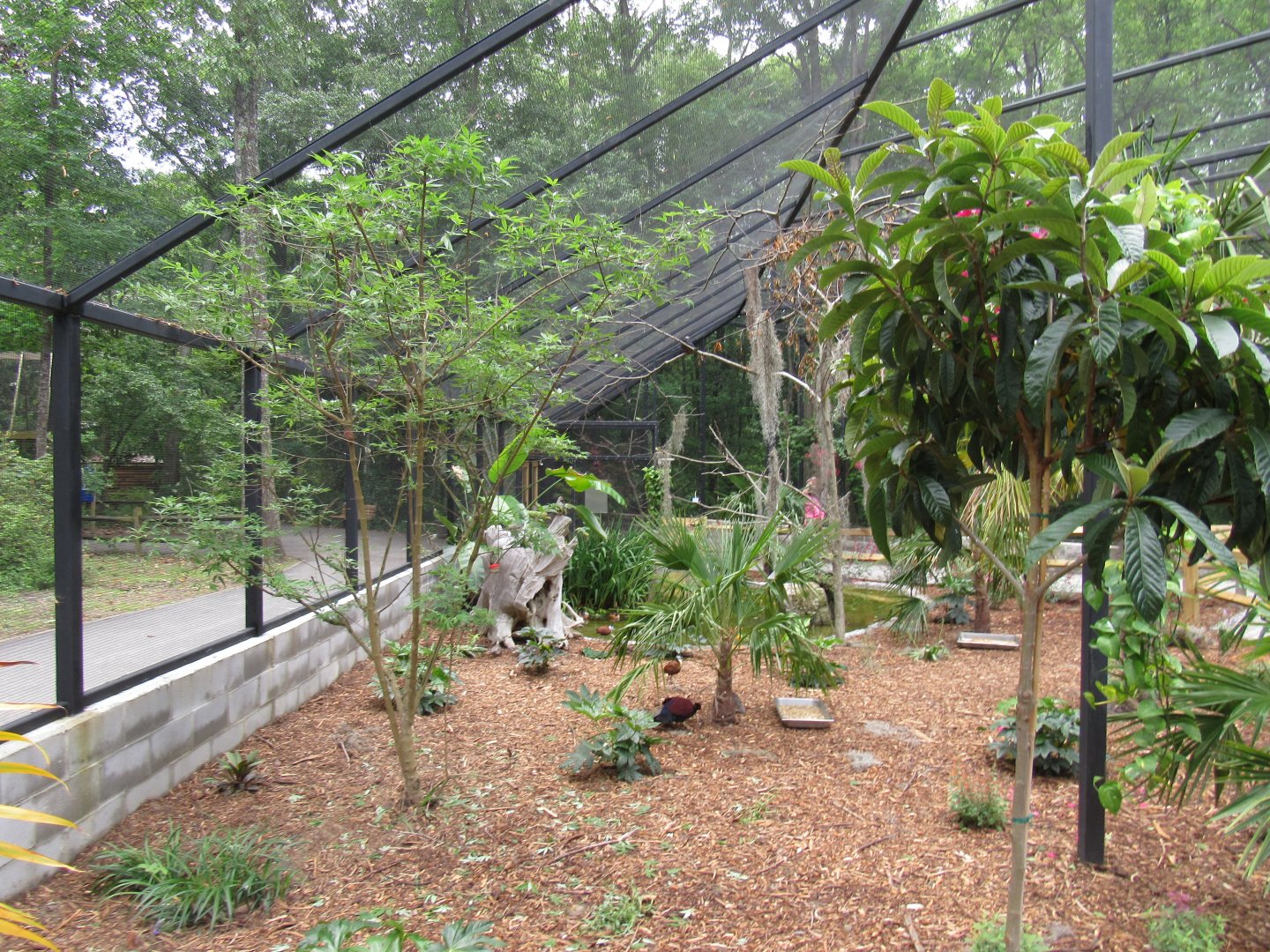 Wings of the Tropics: Free Flight Aviary