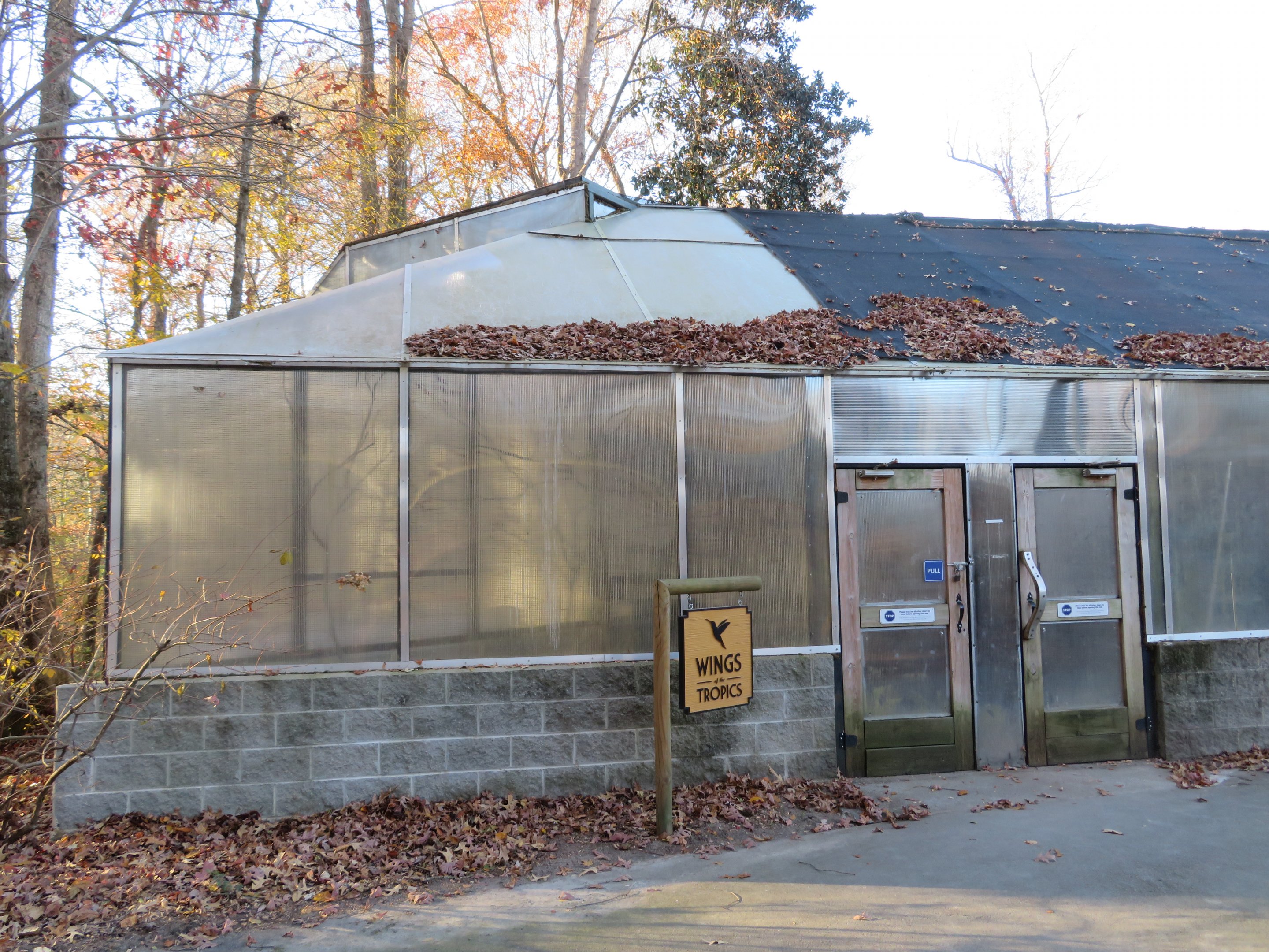 Wings of the Tropics