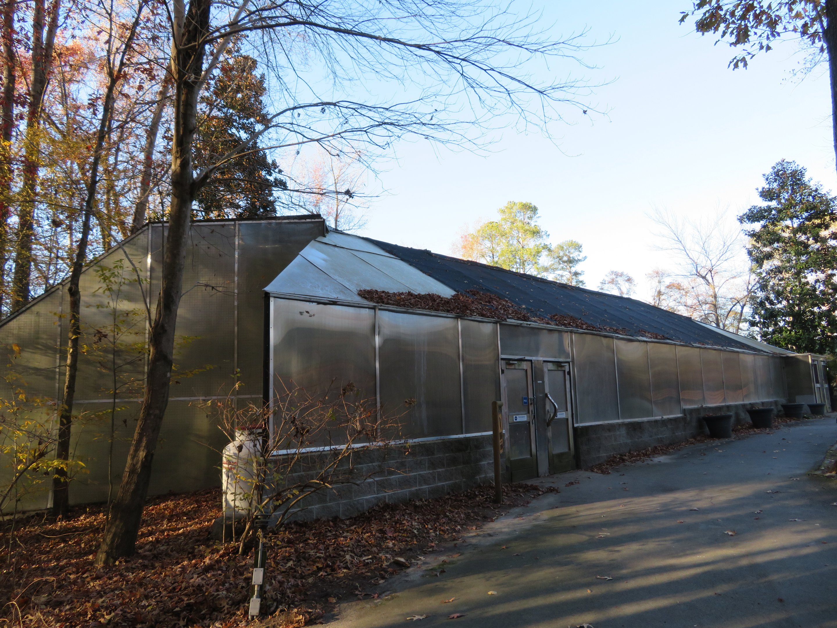 Wings of the Tropics