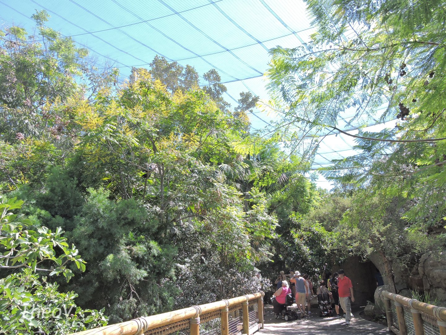 Wings of the World [2015]