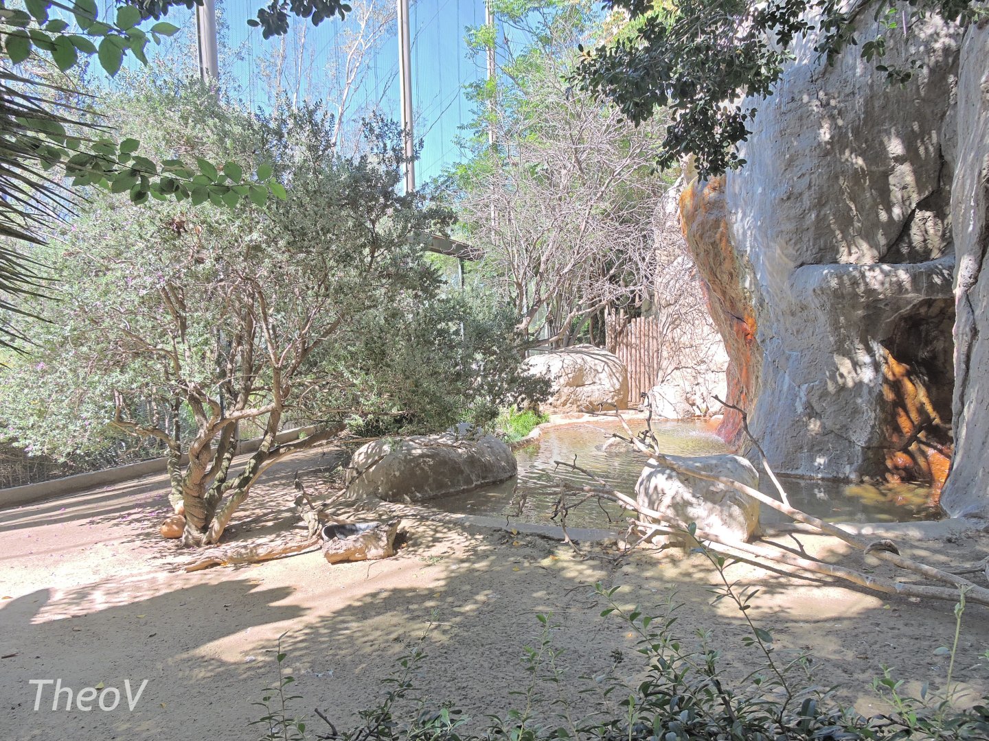 Wings of the World [2015]