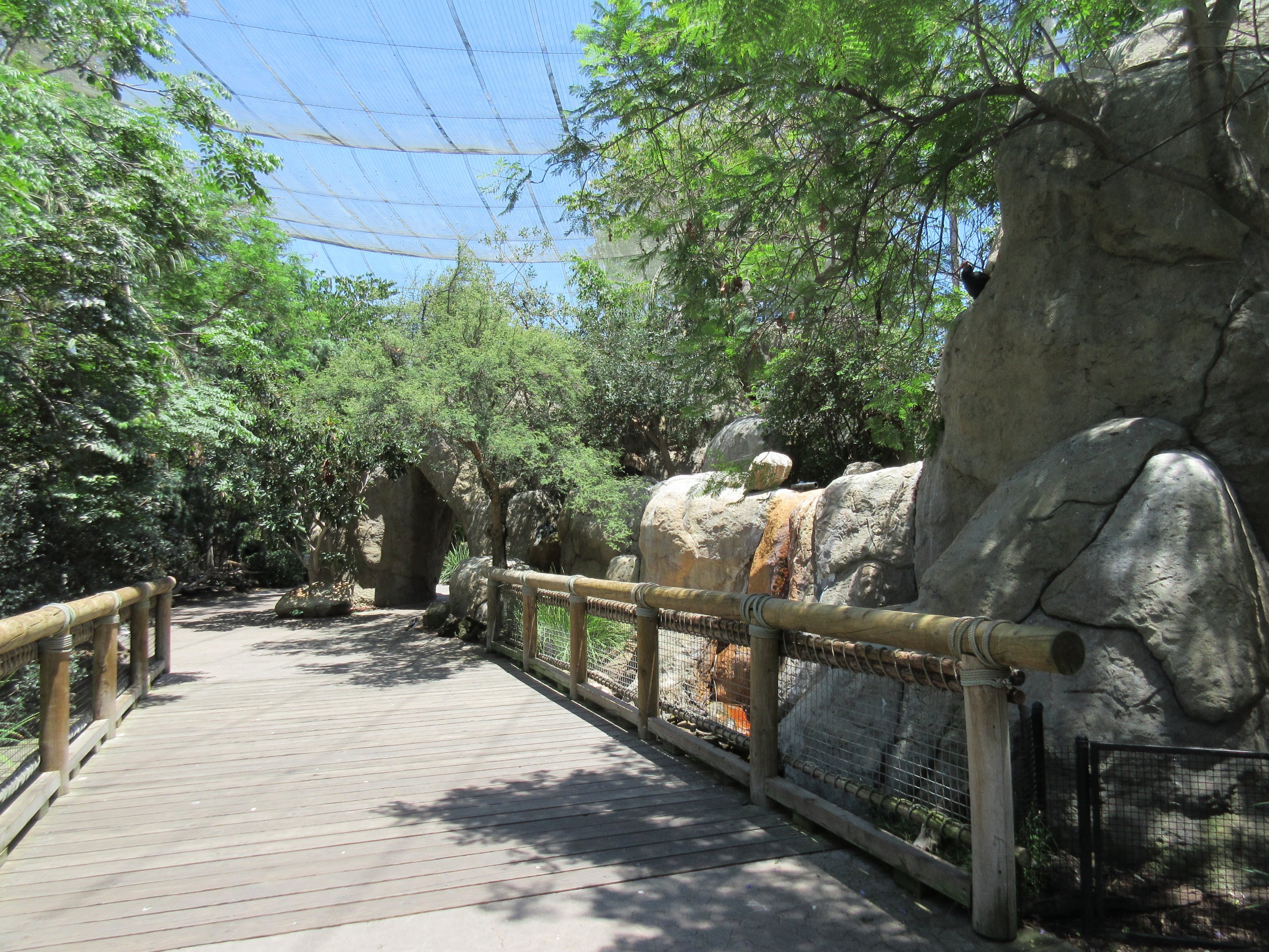 Wings of the World Aviary (near zoo's entrance)