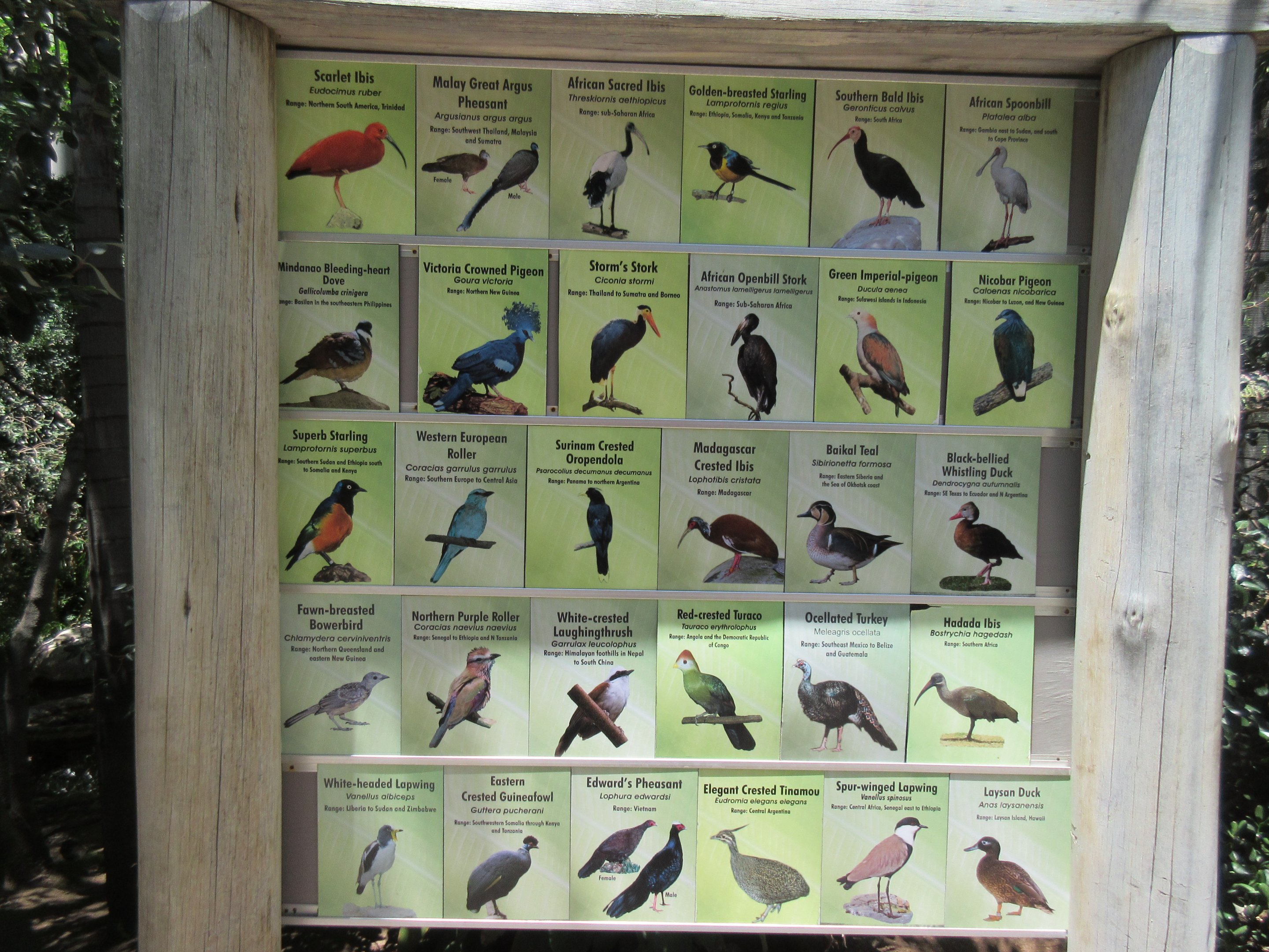 Wings of the World Aviary - Species List