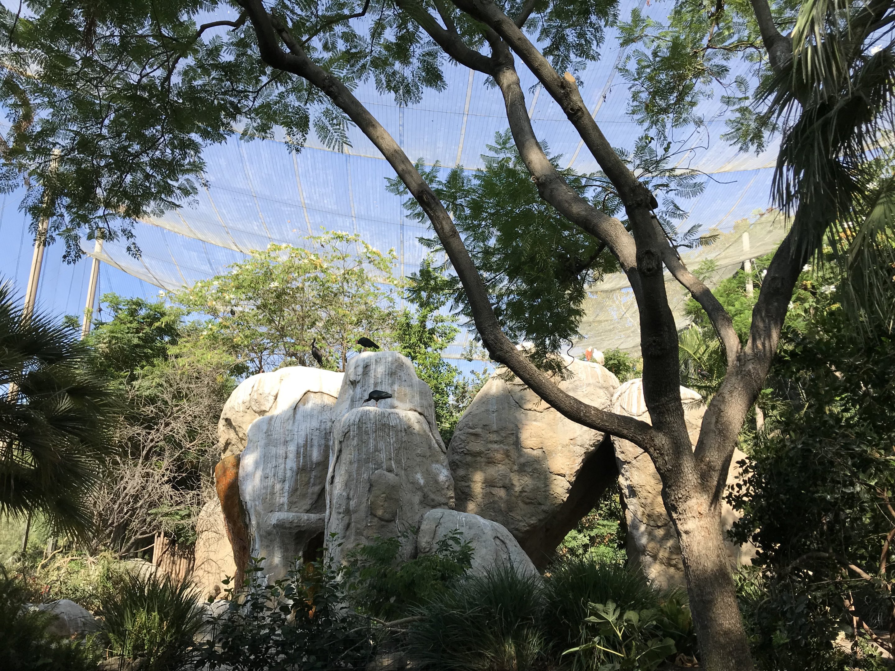 Wings of the World Aviary