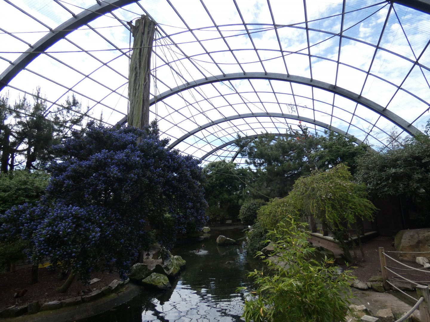 Wings of the World aviary