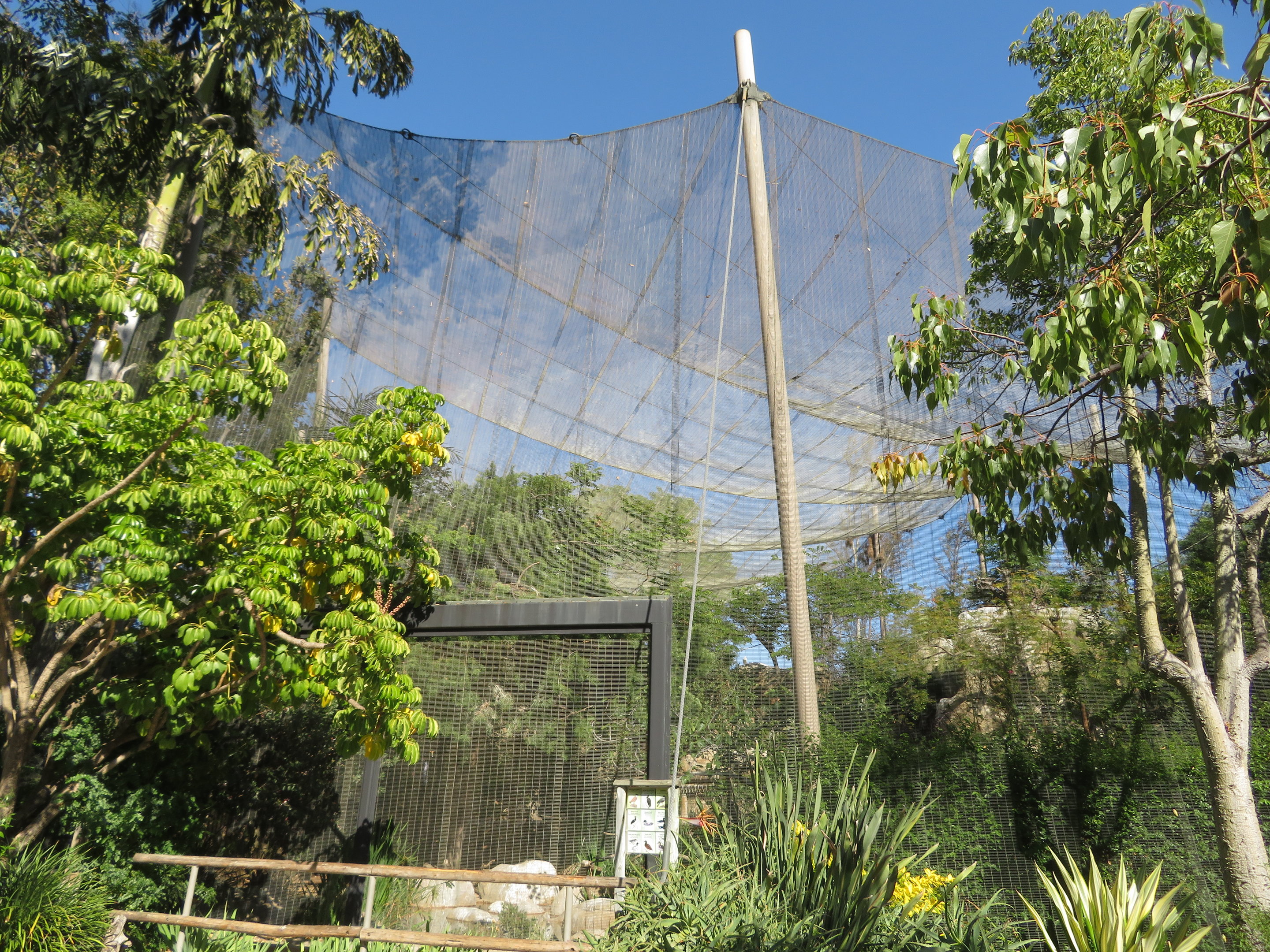 Wings of the World Aviary