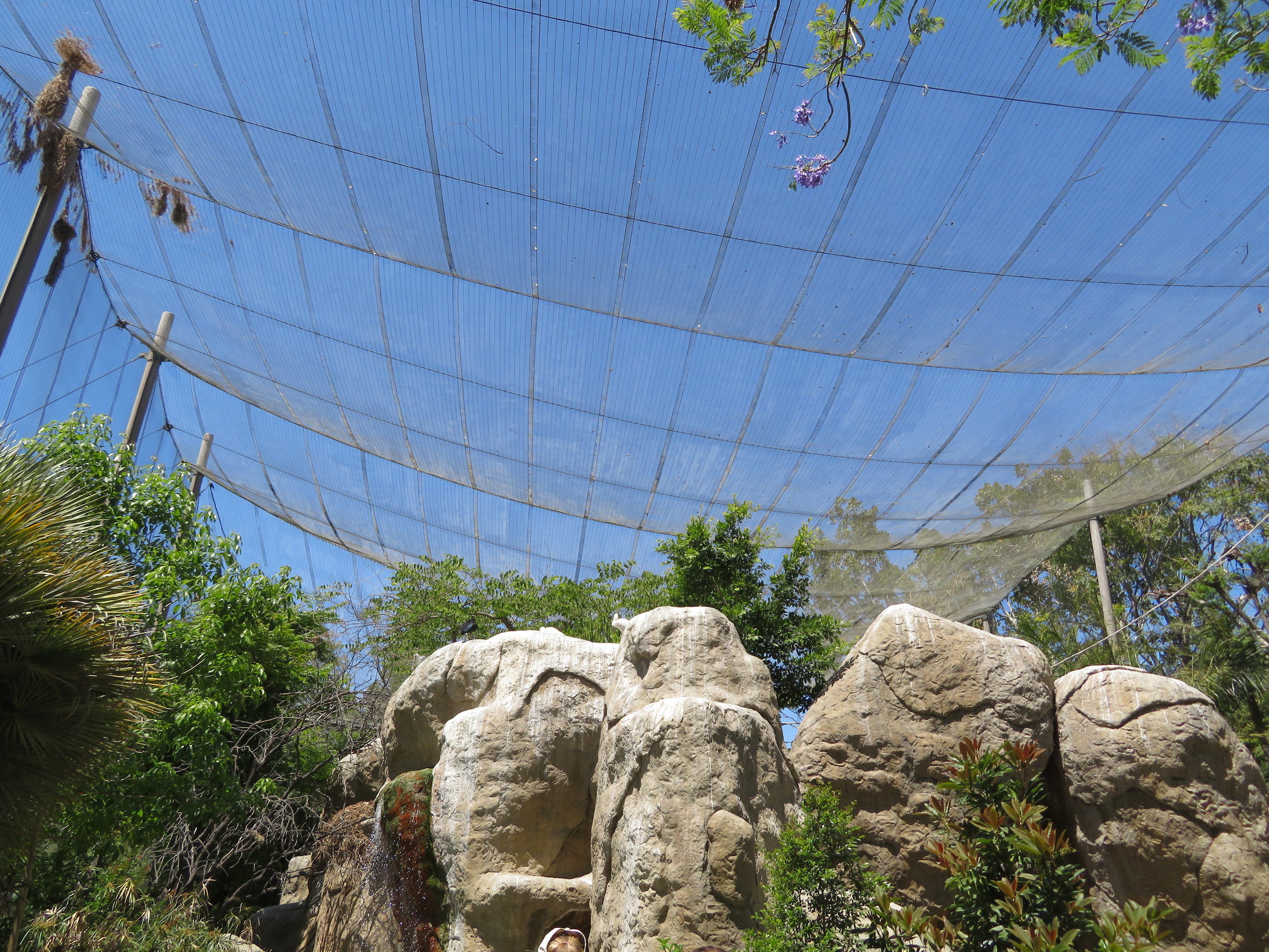 Wings of the World Aviary