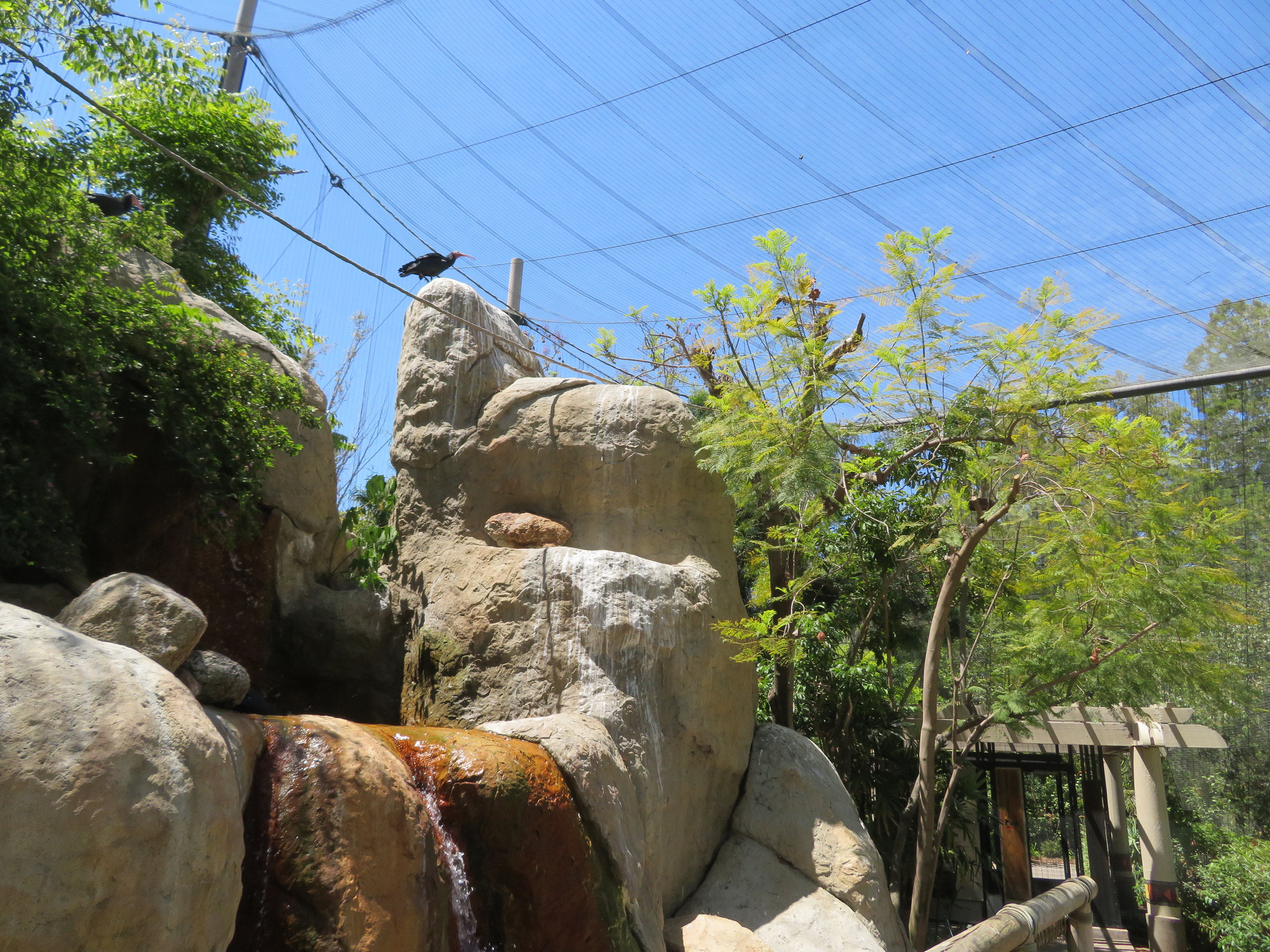 Wings of the World Aviary