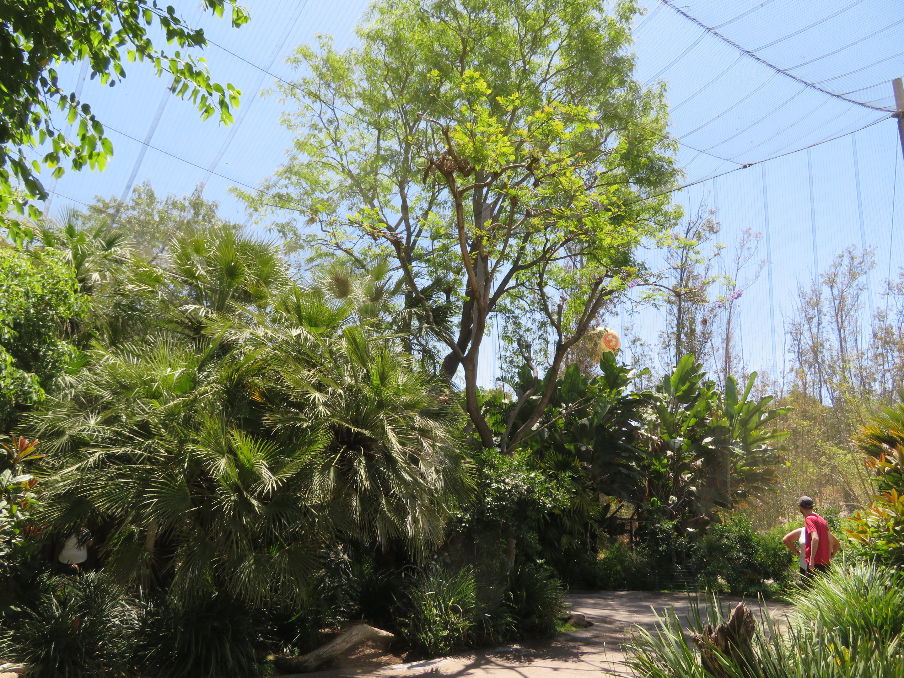 Wings of the World Aviary