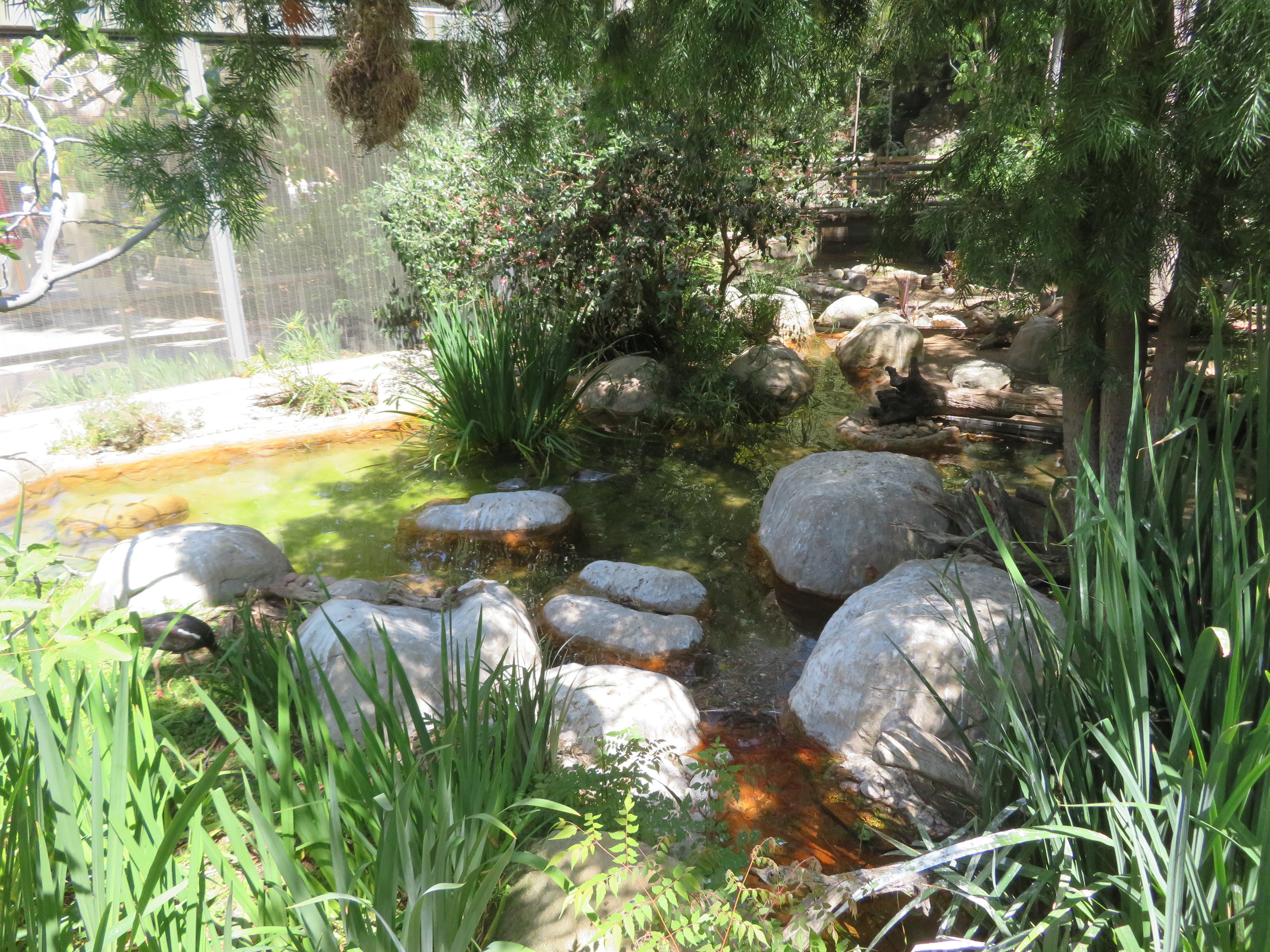 Wings of the World Aviary