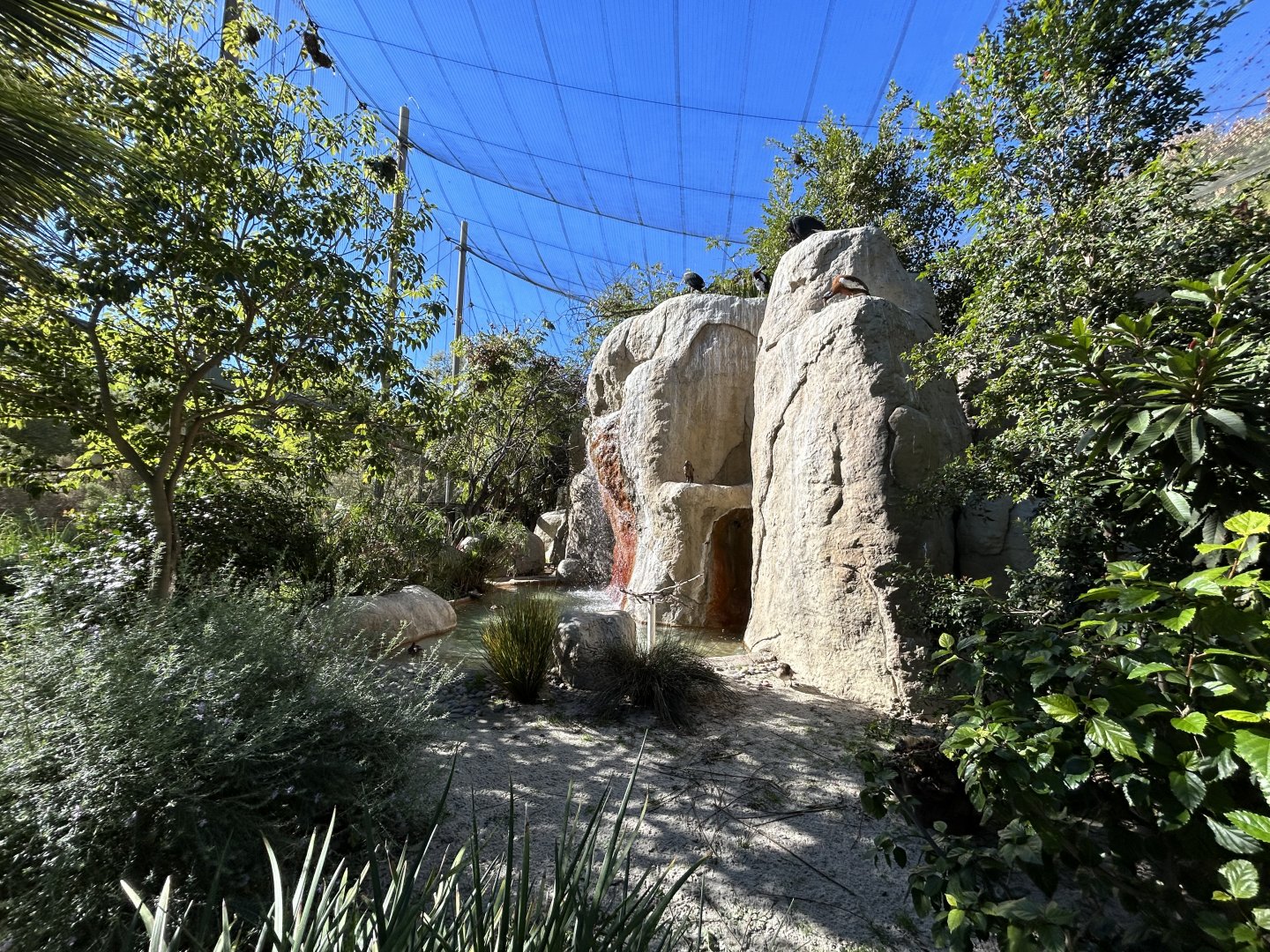 Wings of the World Aviary