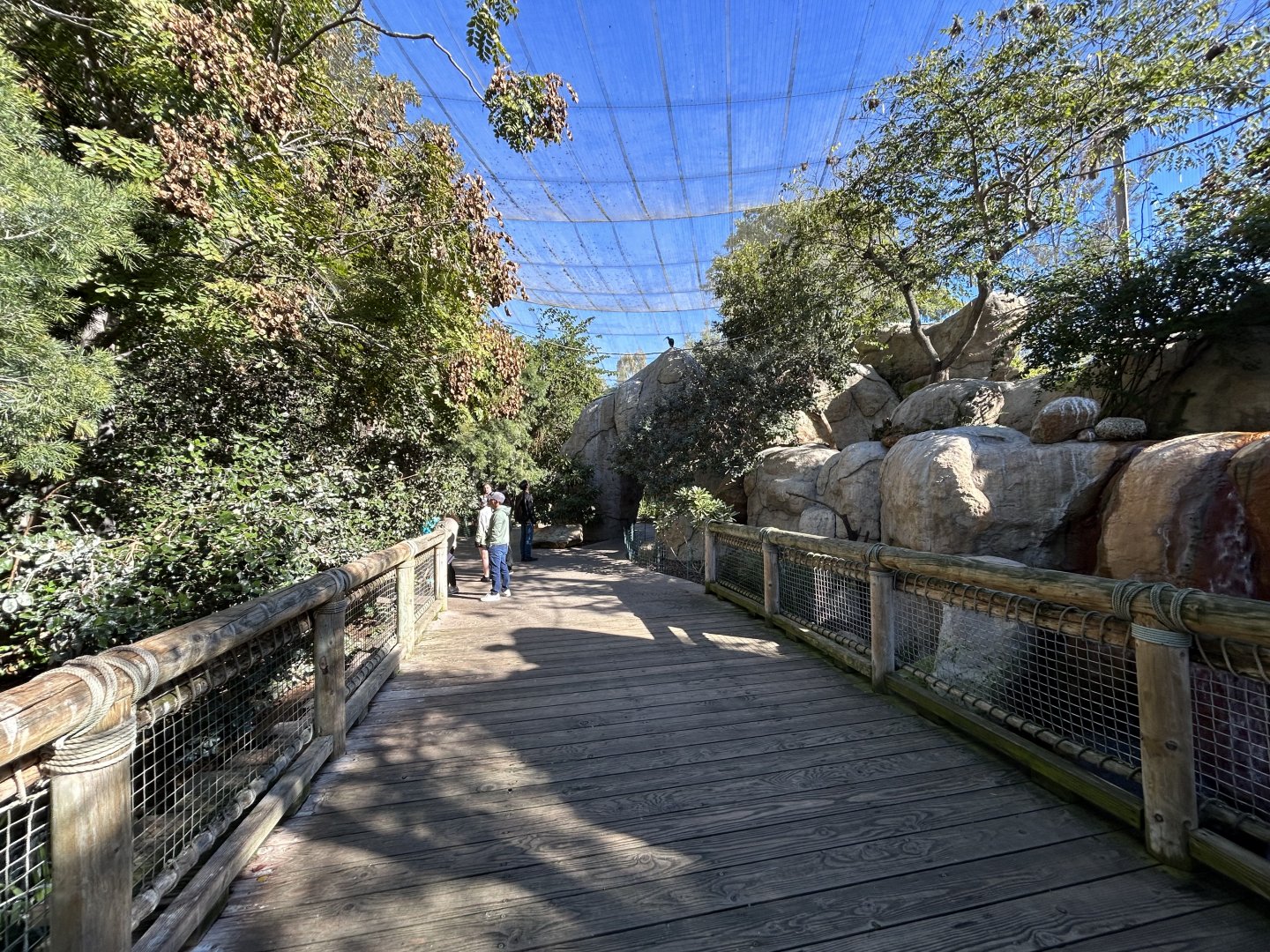 Wings of the World Aviary