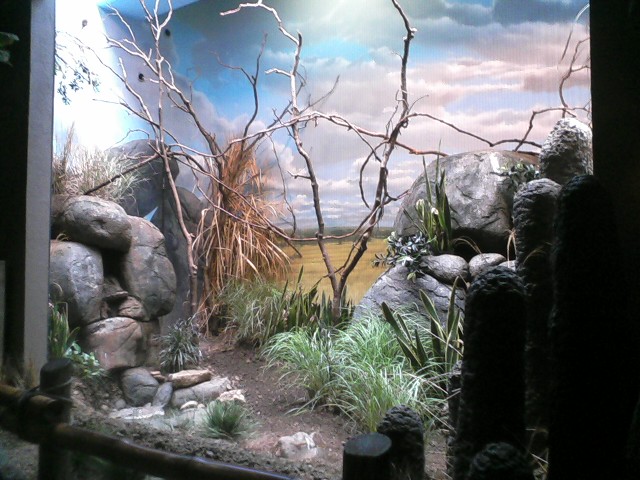 Wings of the World- Grasslands