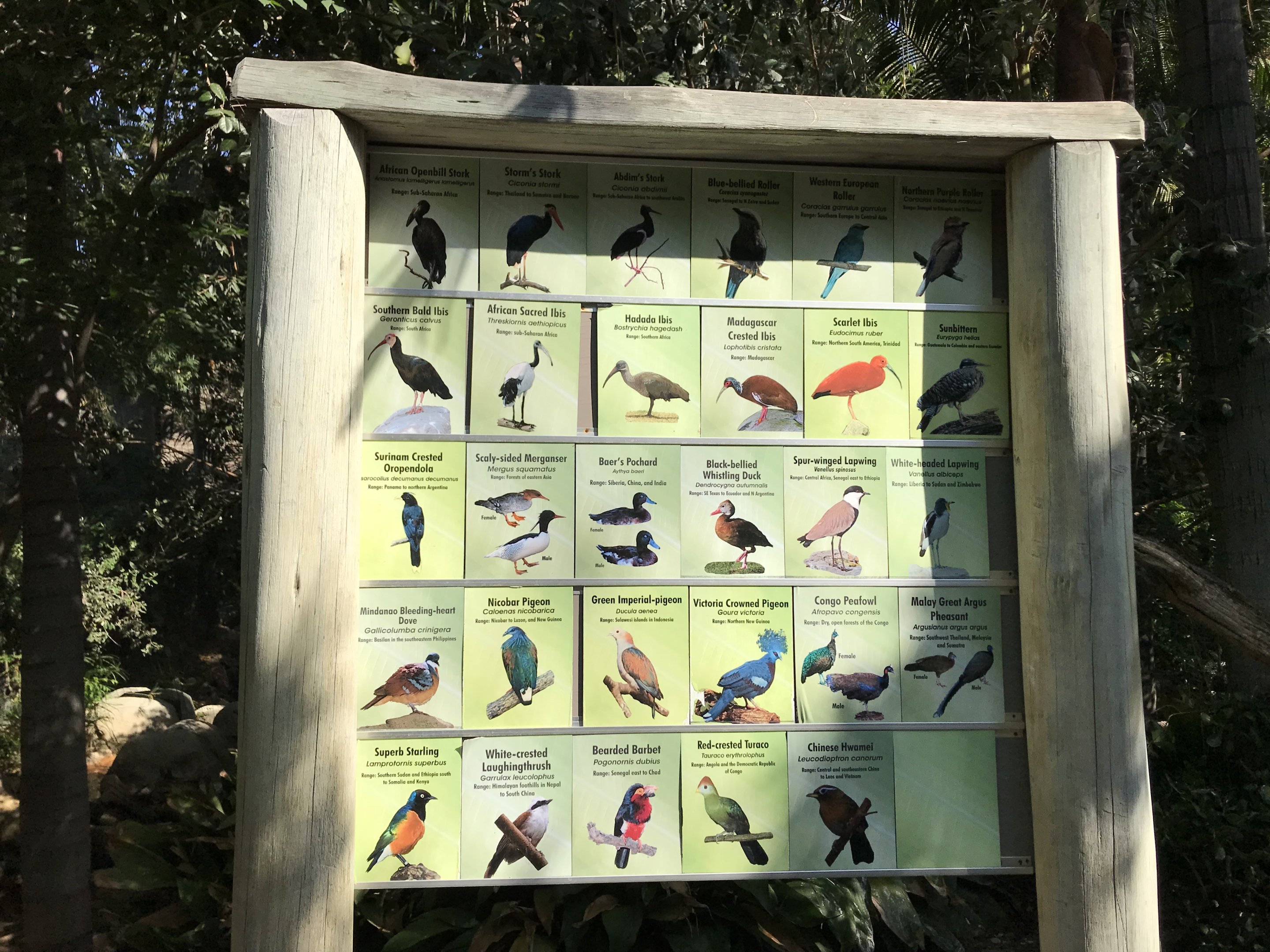 Wings of the World Signage