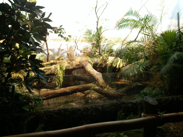 Wings of the World-Wetlands(5 species)