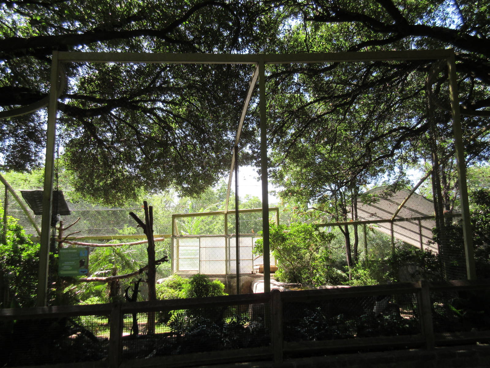 Wings of Wonder - Andean Condor Exhibit