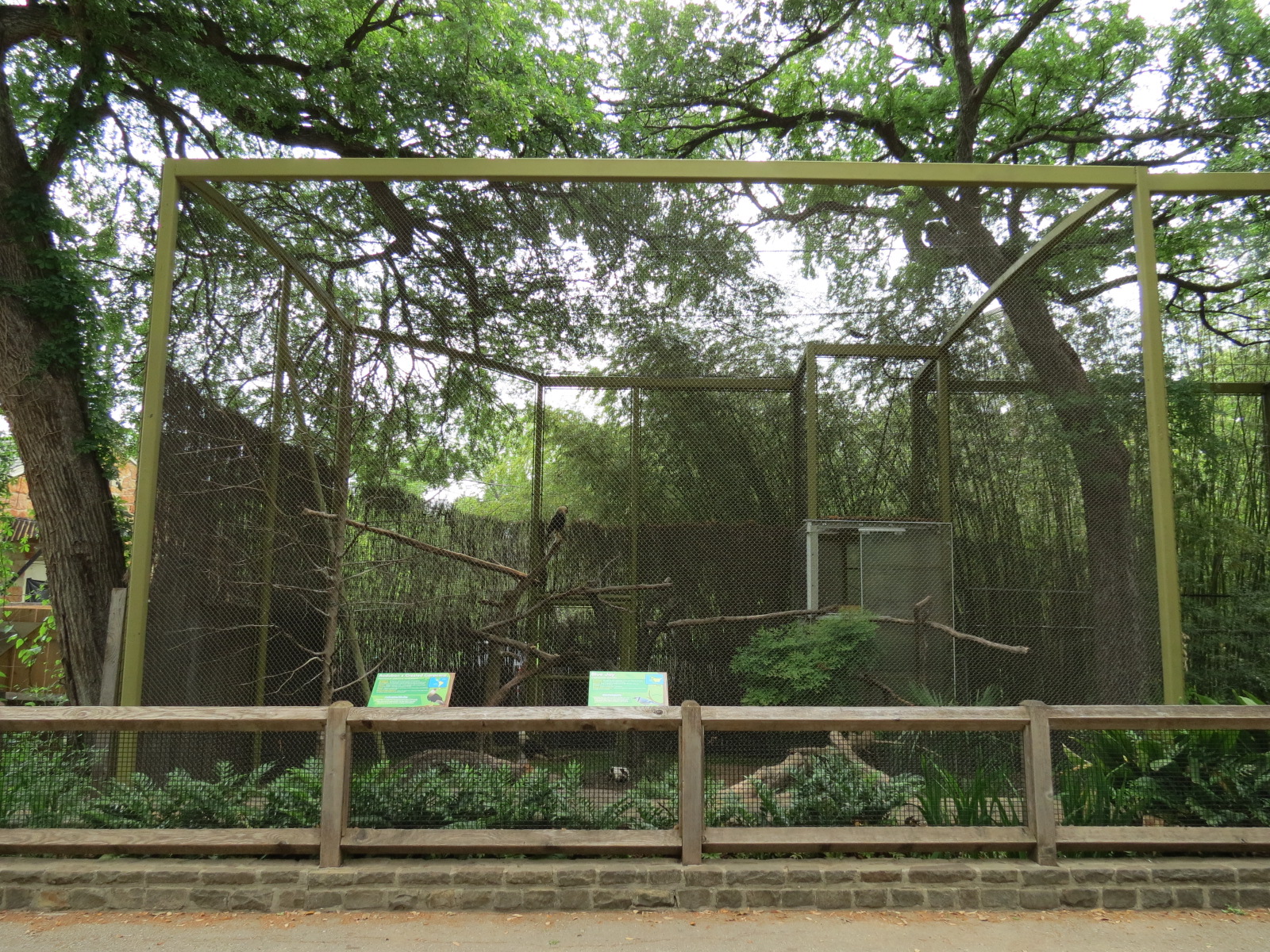 Wings of Wonder - Audobon's Crested Caracara and Blue Jay Exhibit