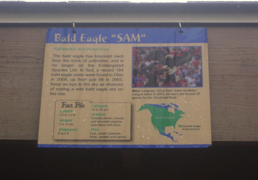 Wings of Wonder Bird Show-Holding Sign