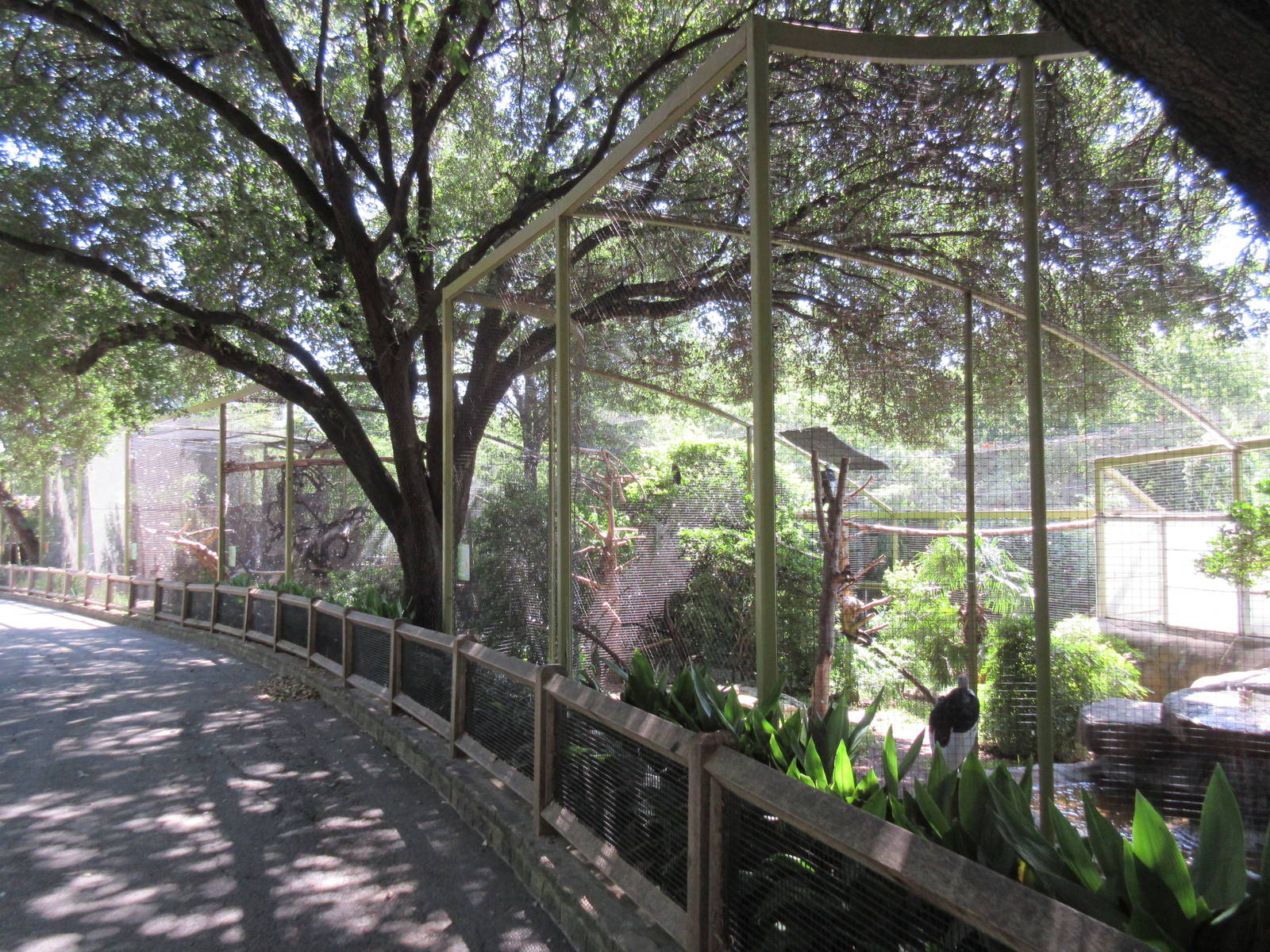 Wings of Wonder - Row of 8 Aviaries