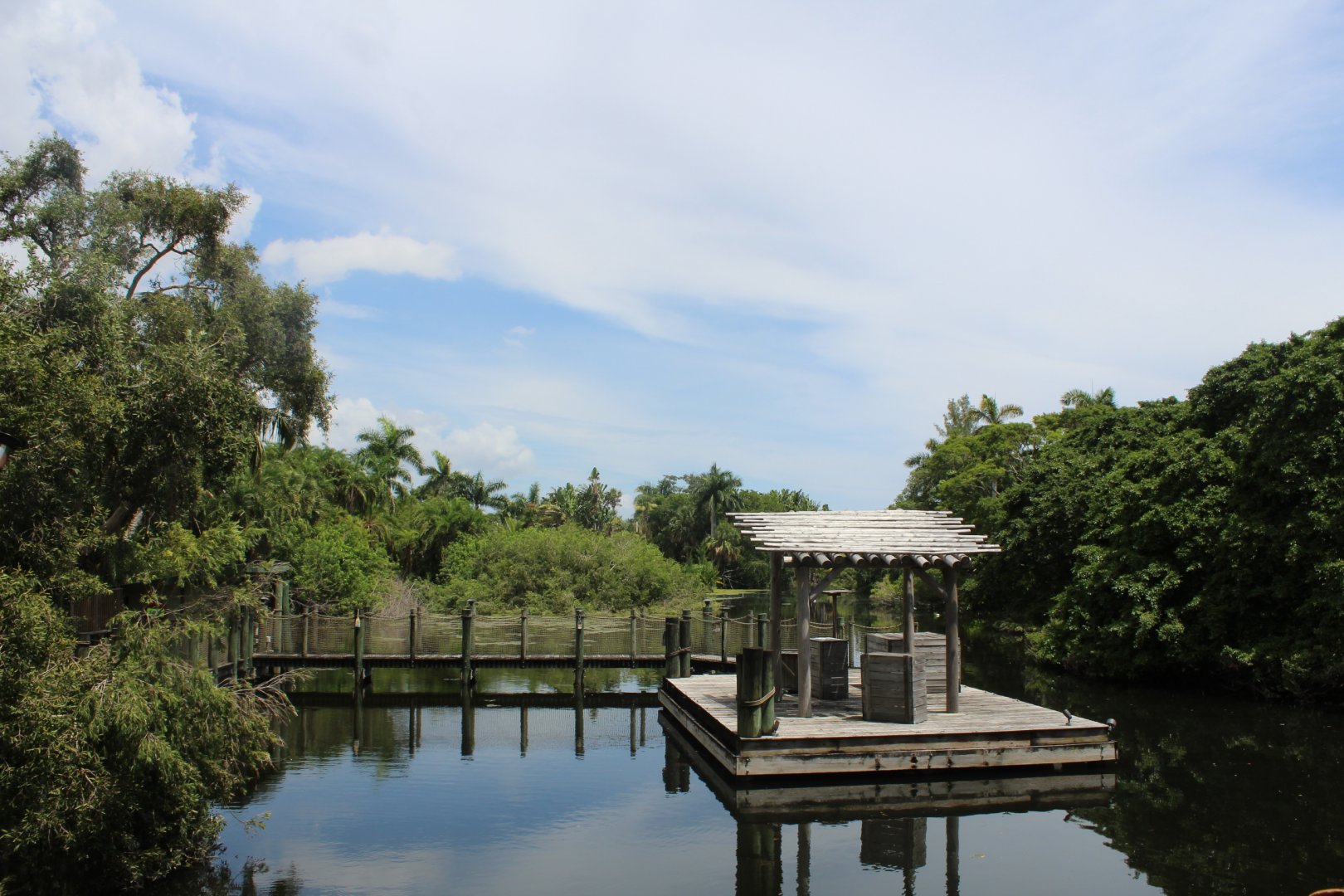Wings over Water Bird Show