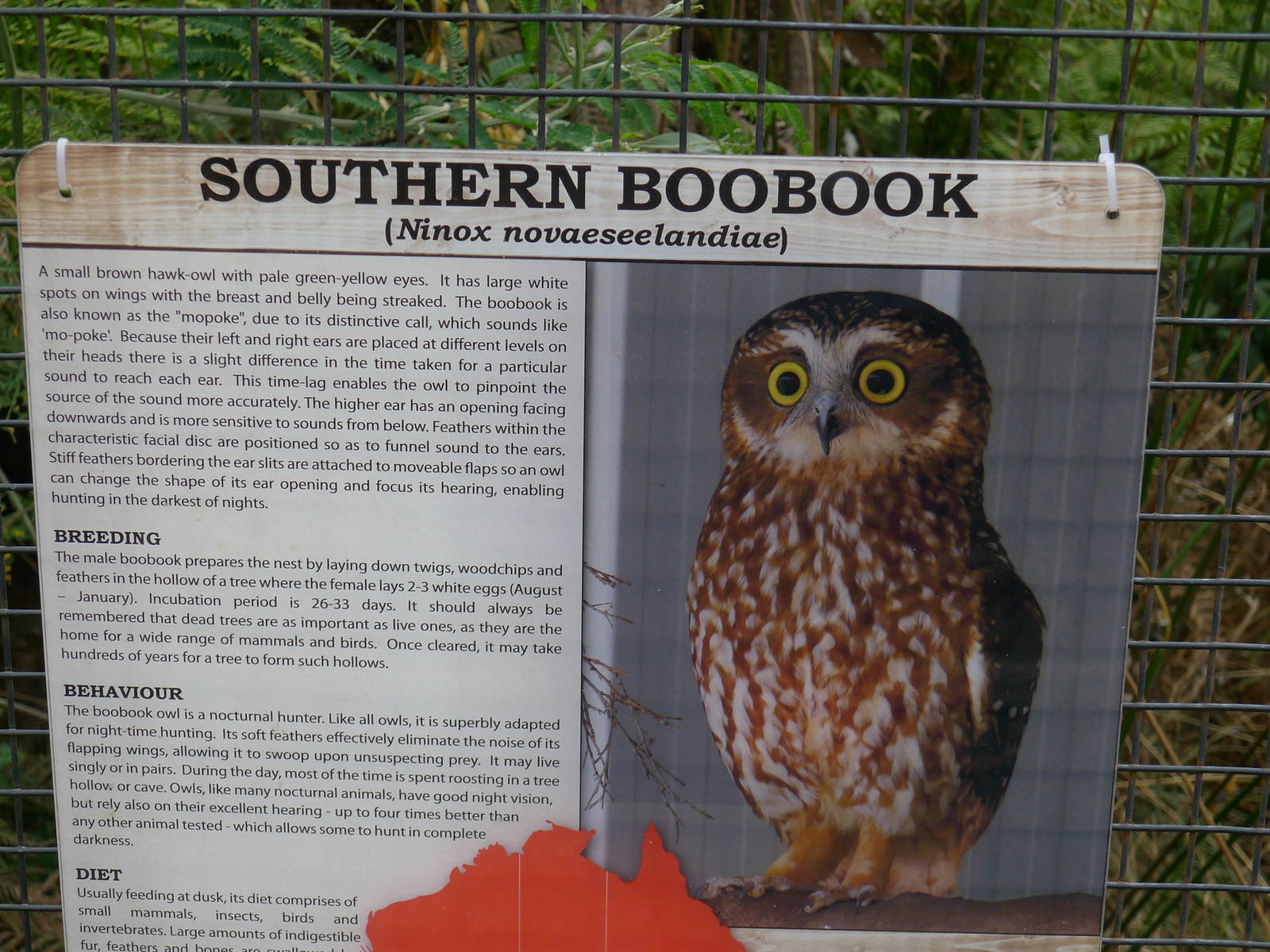 Wings Wildlife Park - Gunns Plains, Tasmaina