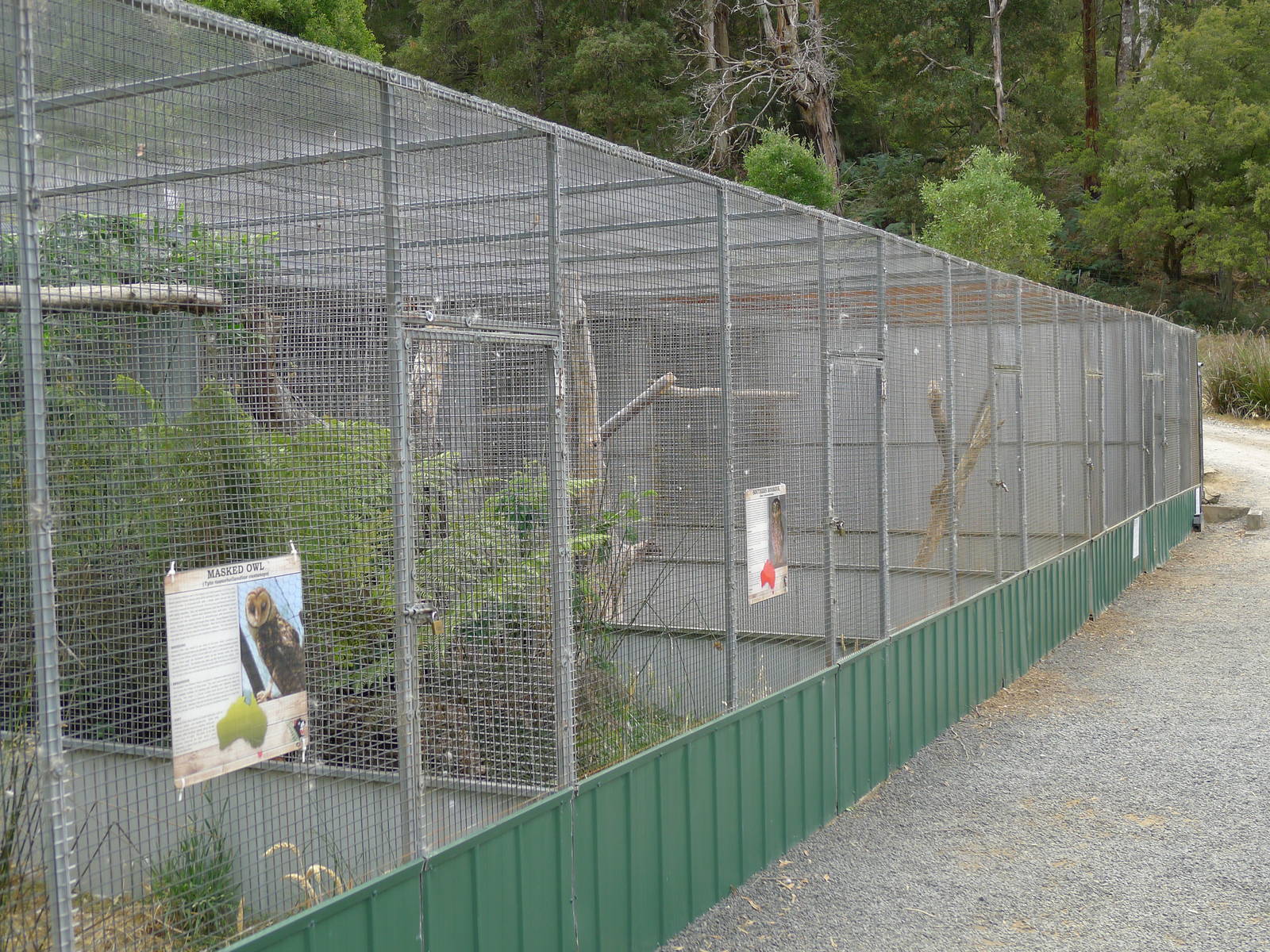 Wings Wildlife Park - Gunns Plains, Tasmaina