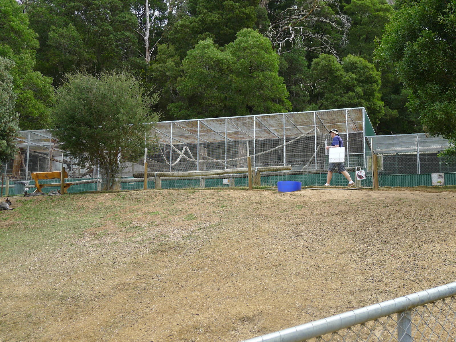 Wings Wildlife Park - Gunns Plains, Tasmaina
