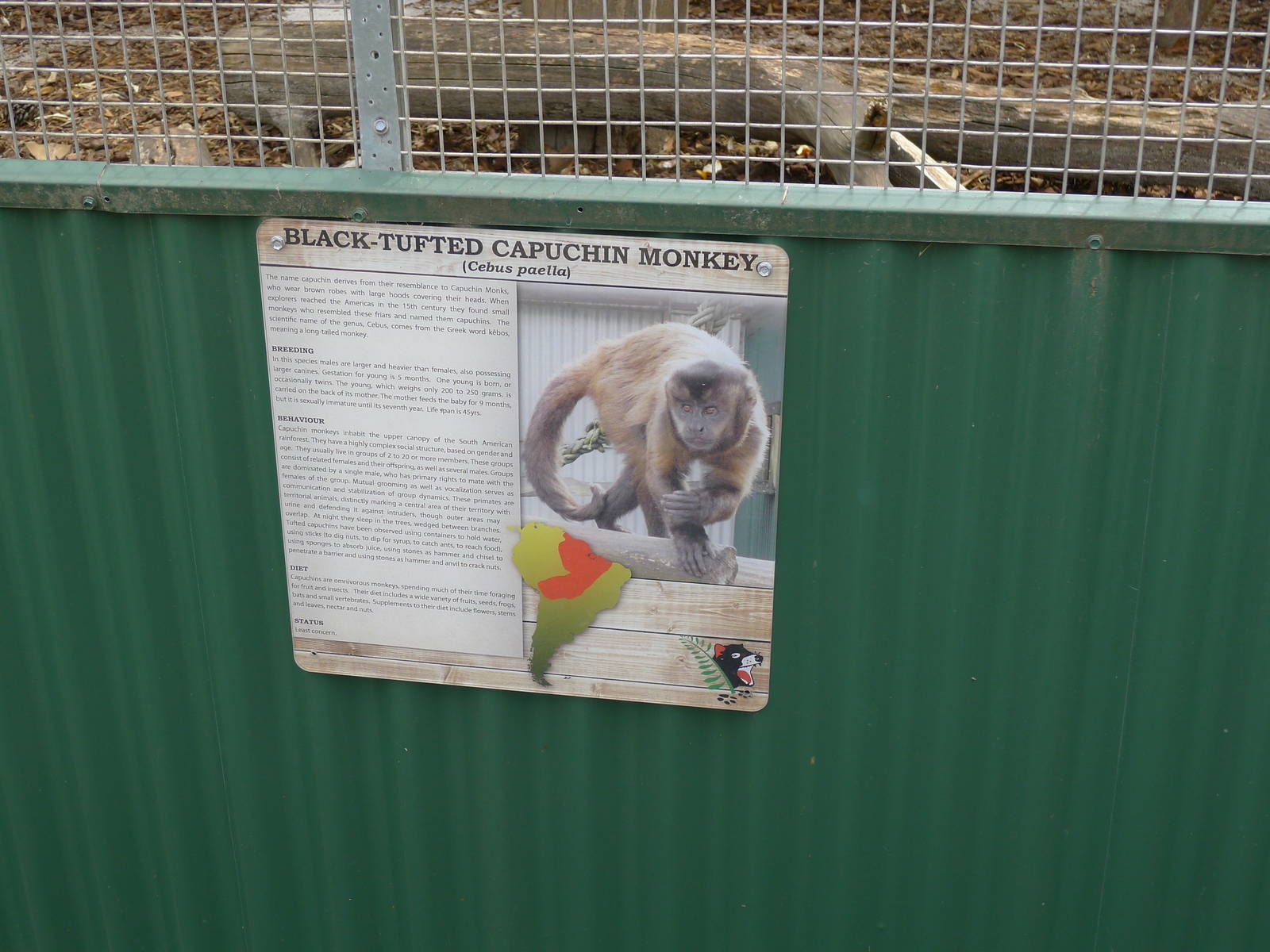 Wings Wildlife Park - Gunns Plains, Tasmaina