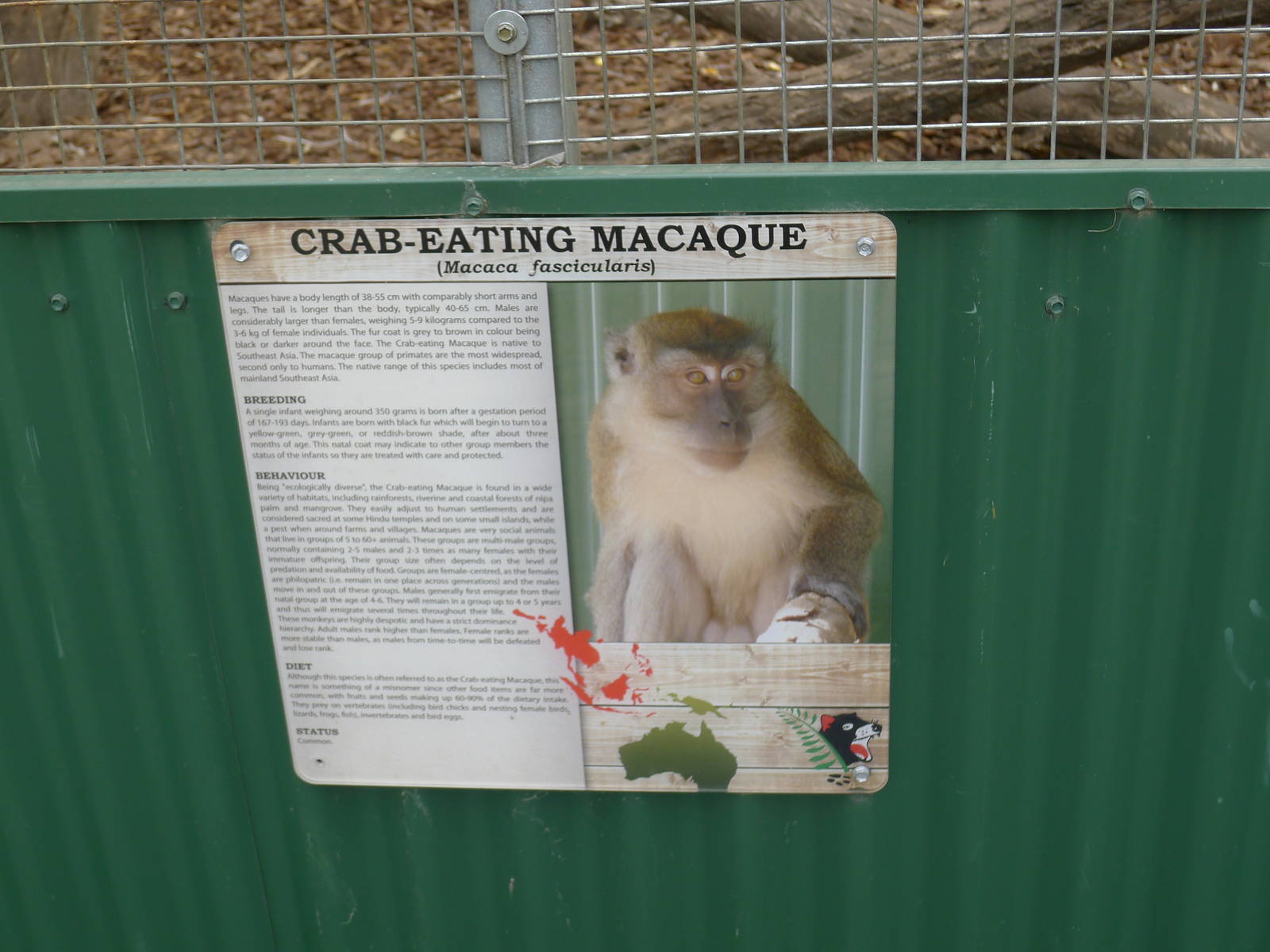 Wings Wildlife Park - Gunns Plains, Tasmaina