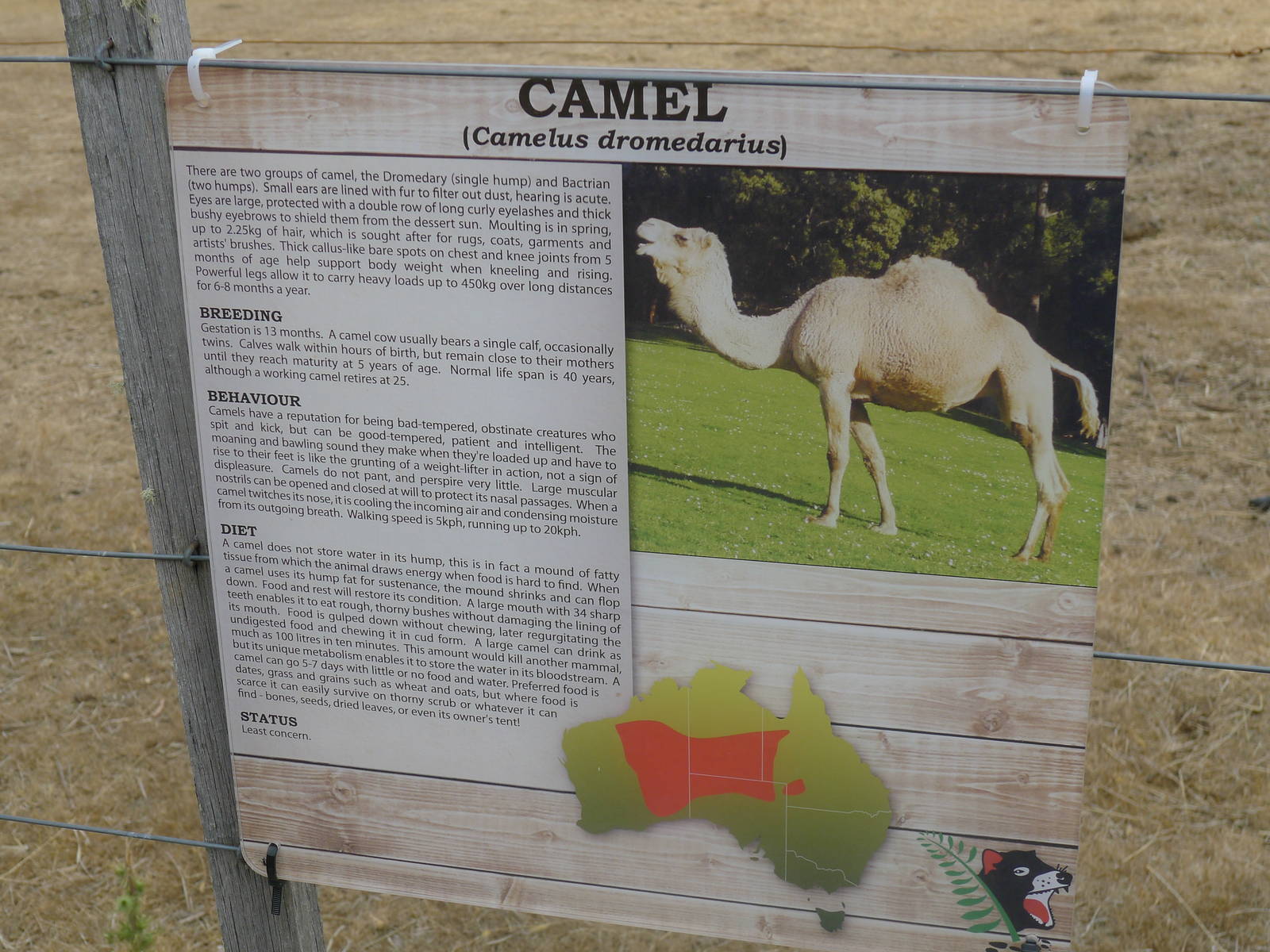 Wings Wildlife Park - Gunns Plains, Tasmaina