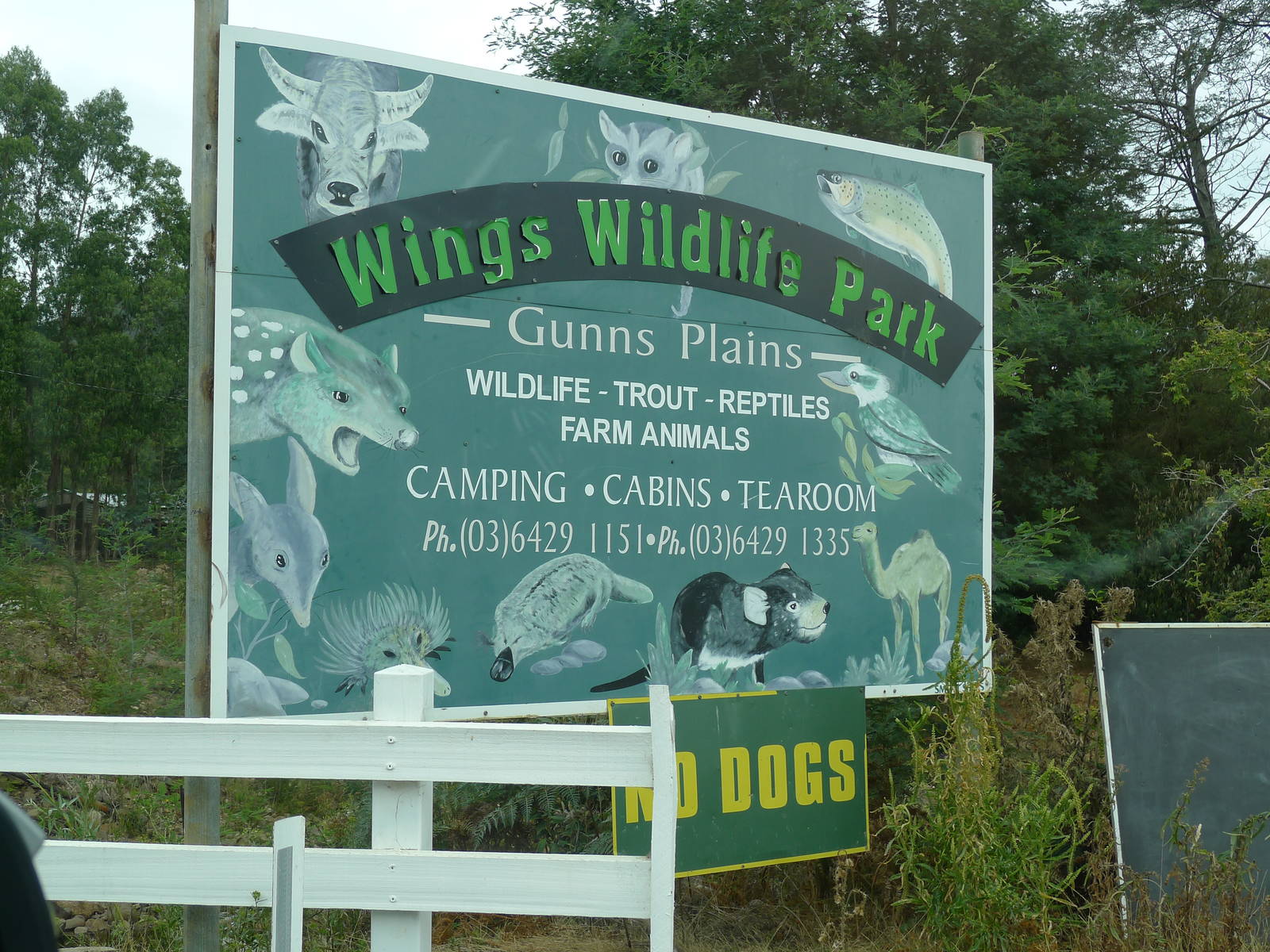 Wings Wildlife Park - Gunns Plains, Tasmaina