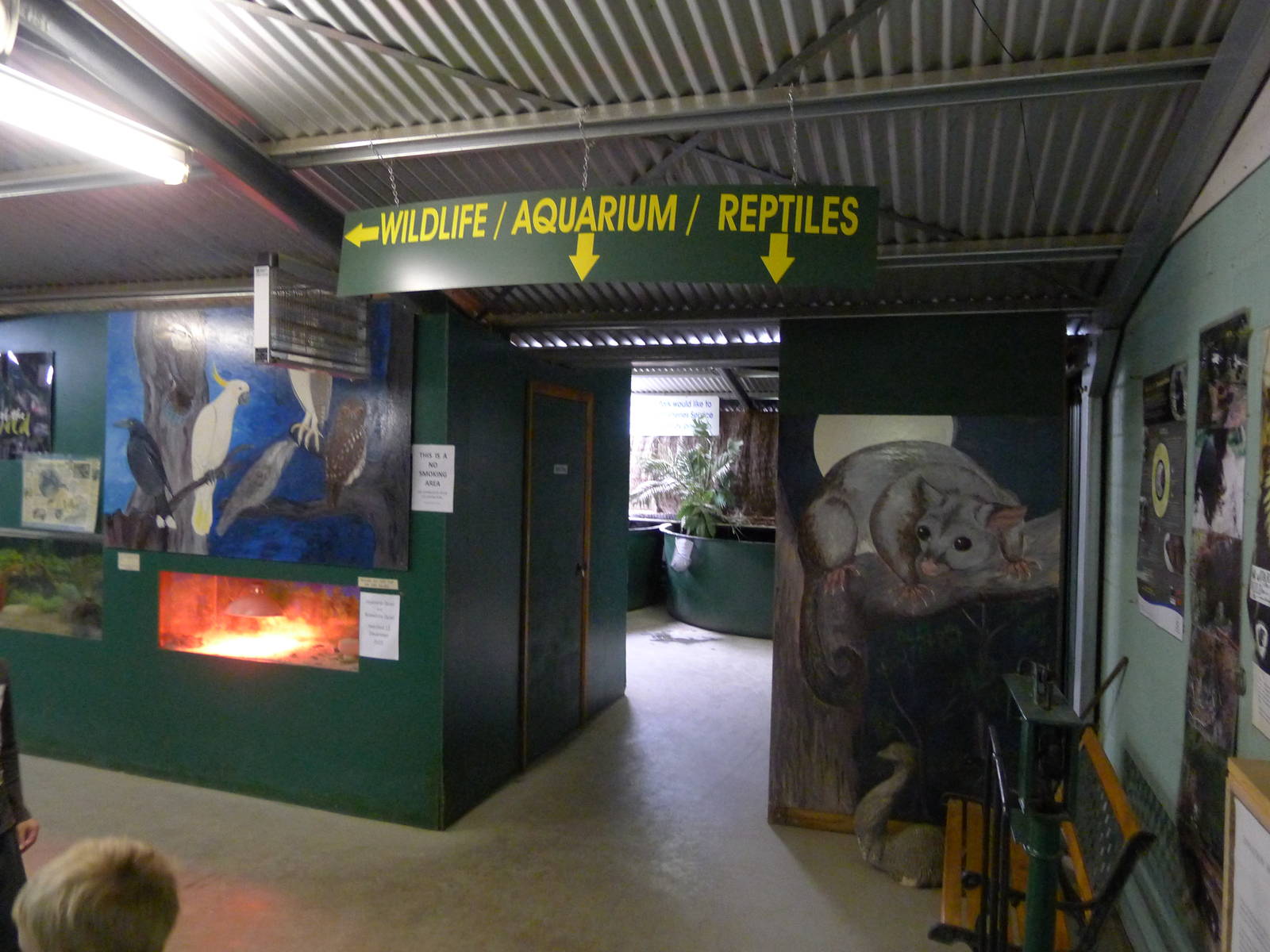 Wings Wildlife Park - Gunns Plains, Tasmaina