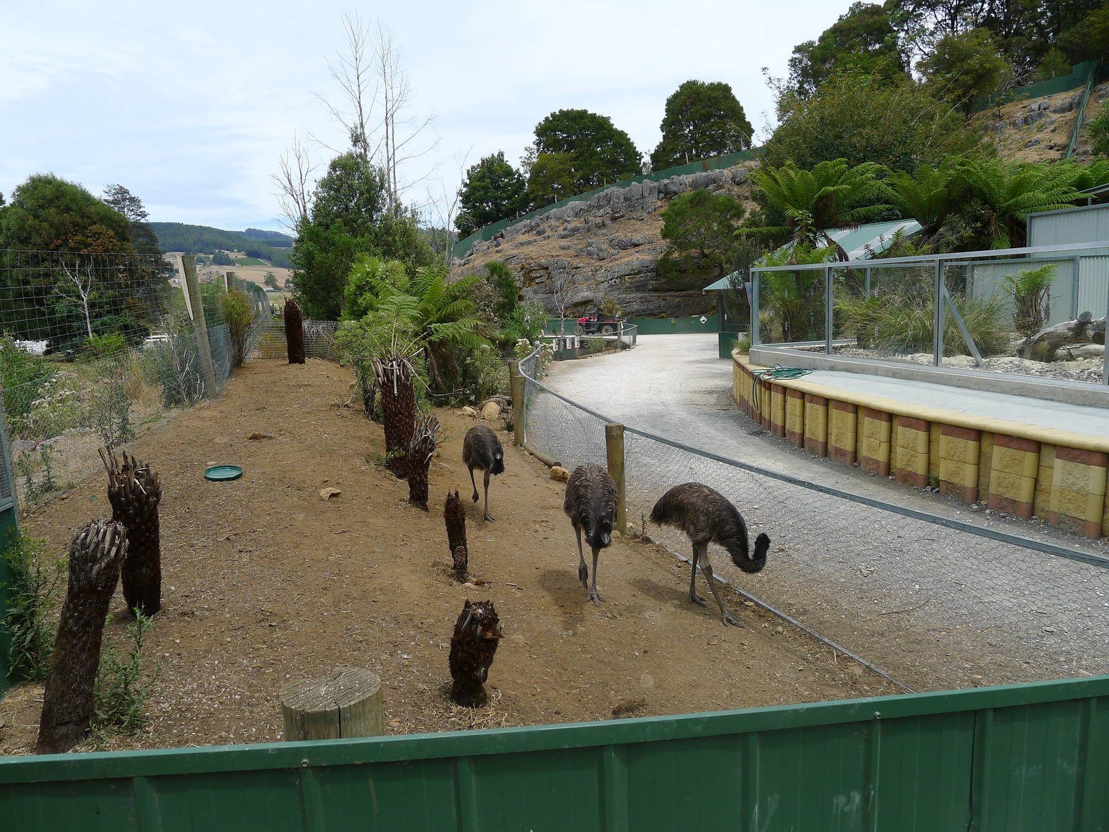 Wings Wildlife Park - Gunns Plains, Tasmaina