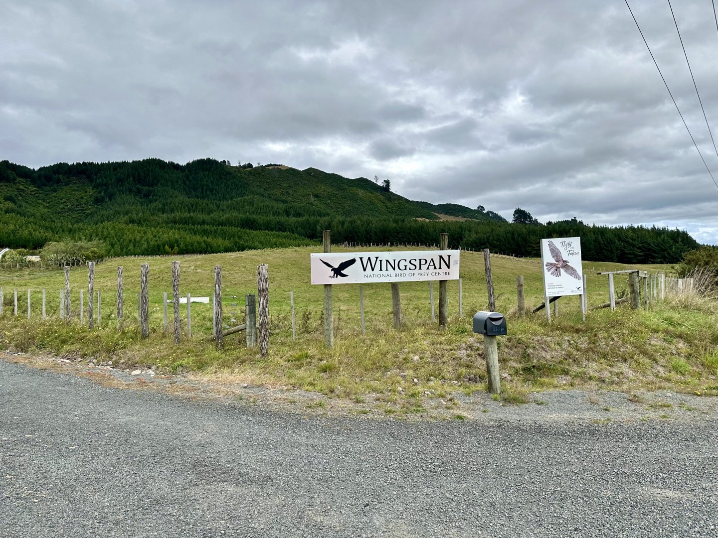 Wingspan - Road Signage