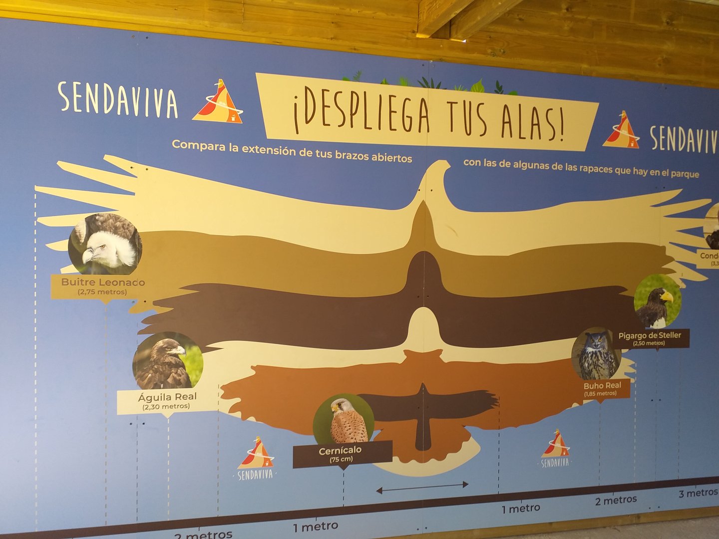 Wingspan sign -Sendaviva (2020)