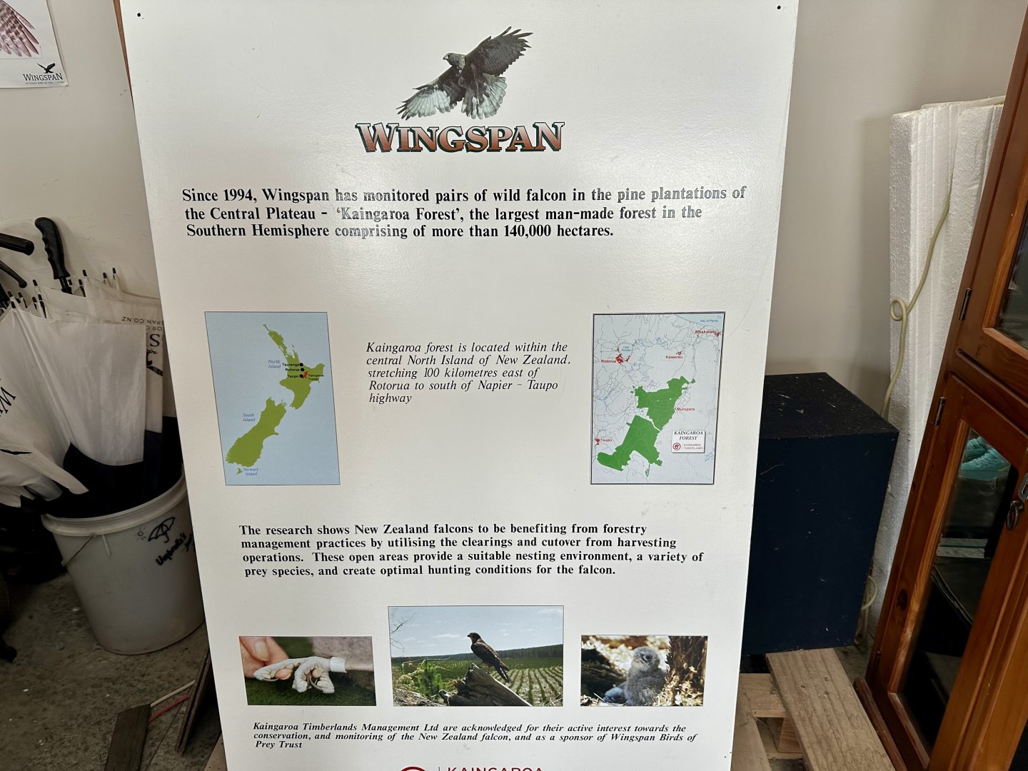 Wingspan Signage
