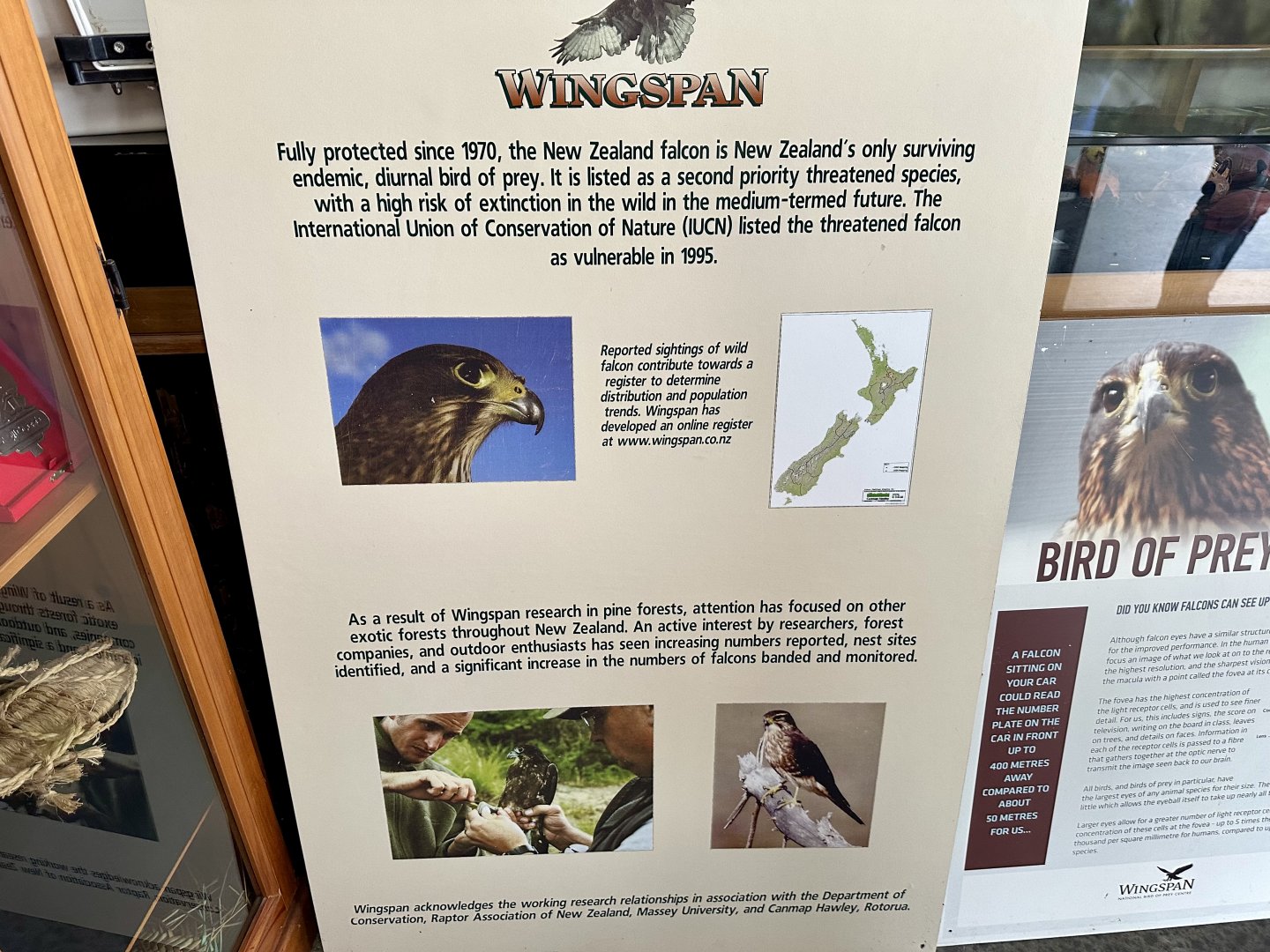 Wingspan Signage