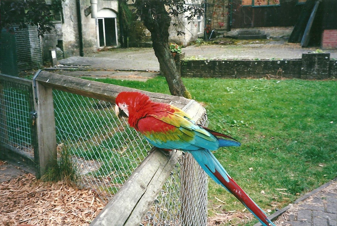 Winston 22nd July 2000